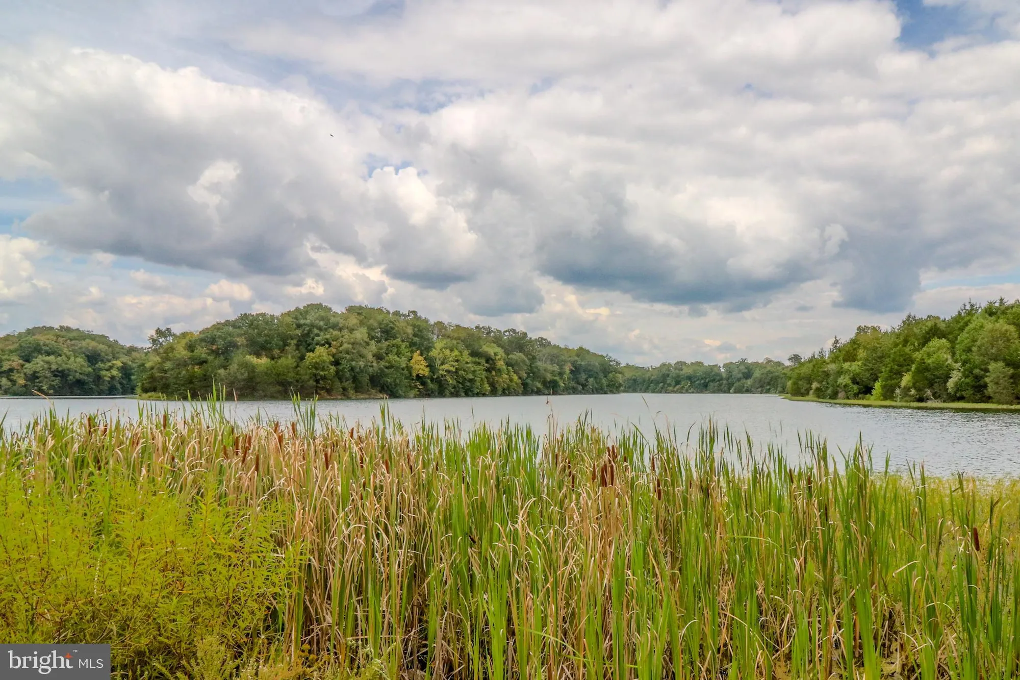 Property Slideshow image 30 of 117 | 117 harvester dr, Lake Frederick, VA, 22630