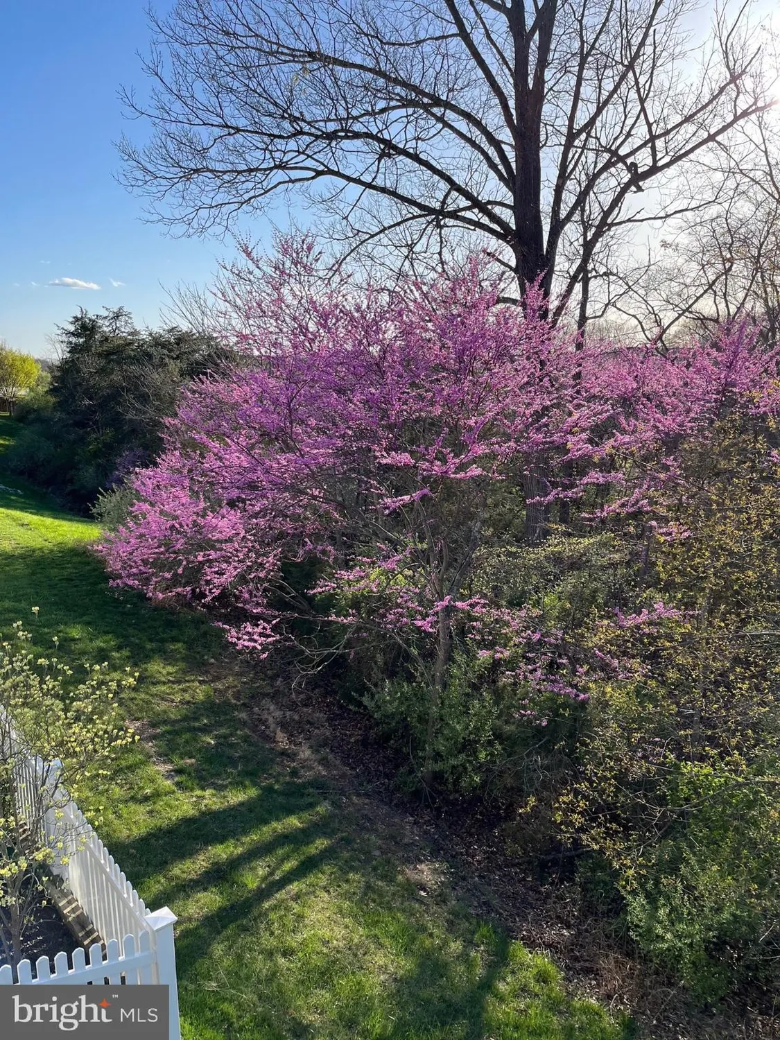 Property Slideshow image 40 of 117 | 117 harvester dr, Lake Frederick, VA, 22630