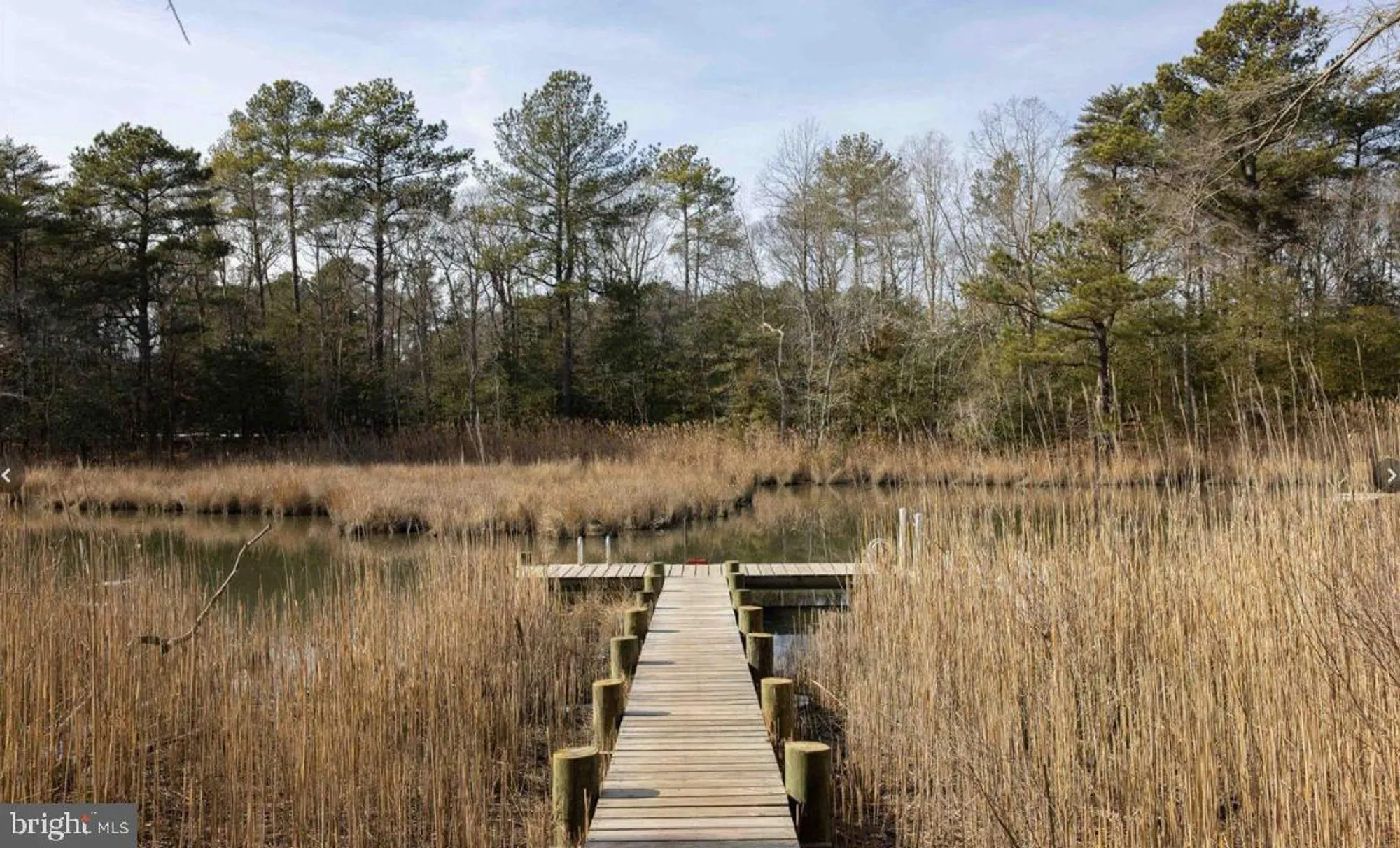 Property Slideshow image 69 of 83 | 21160 conti st, Lewes, DE, 19958