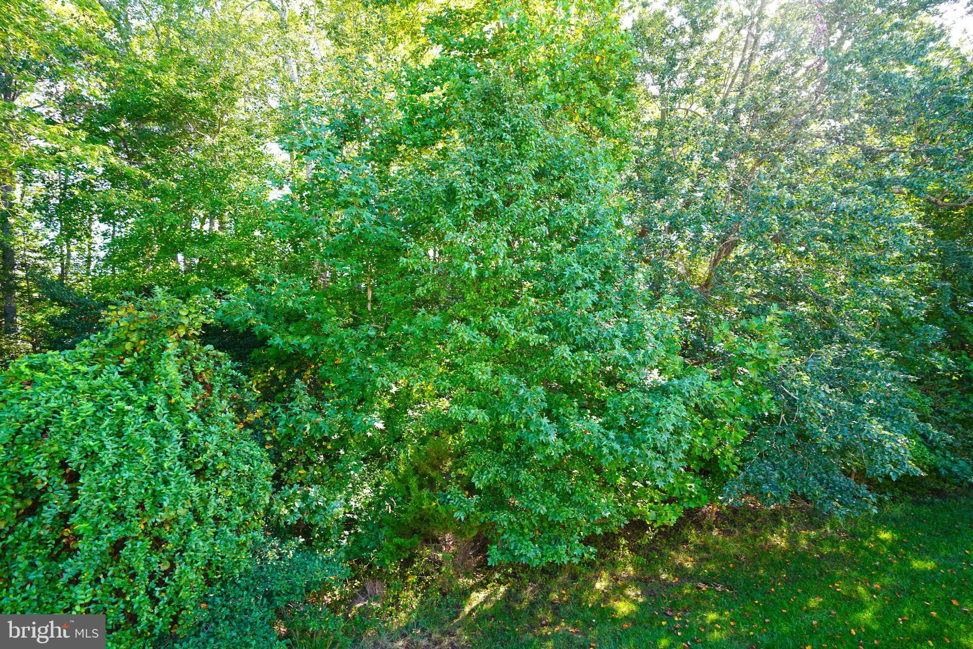 Property Slideshow image 75 of 89 | 34953 compass cv, Lewes, DE, 19958