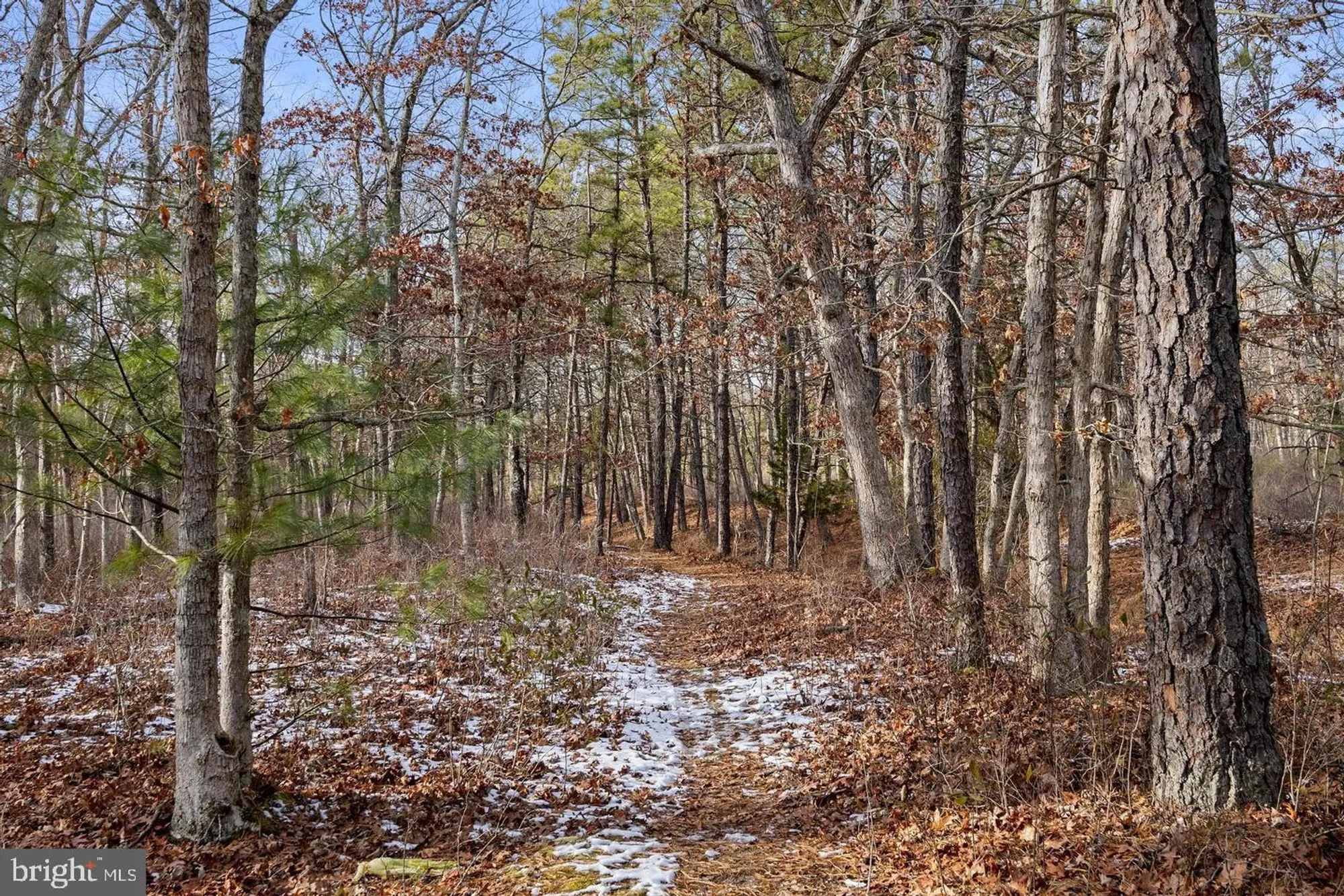 Property Slideshow image 11 of 18 | 10 acorn rd, Stafford Township, NJ, 08050