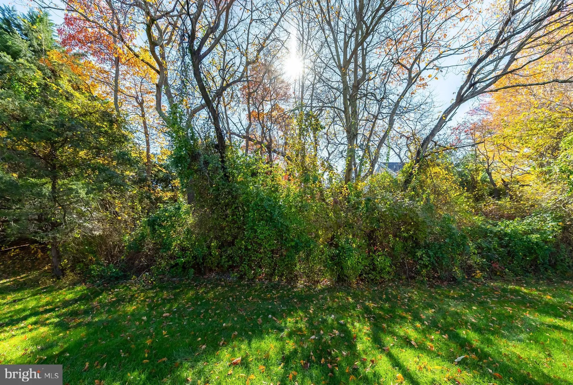 Property Slideshow image 19 of 20 | 730 chickory trl, Mullica Hill, NJ, 08062