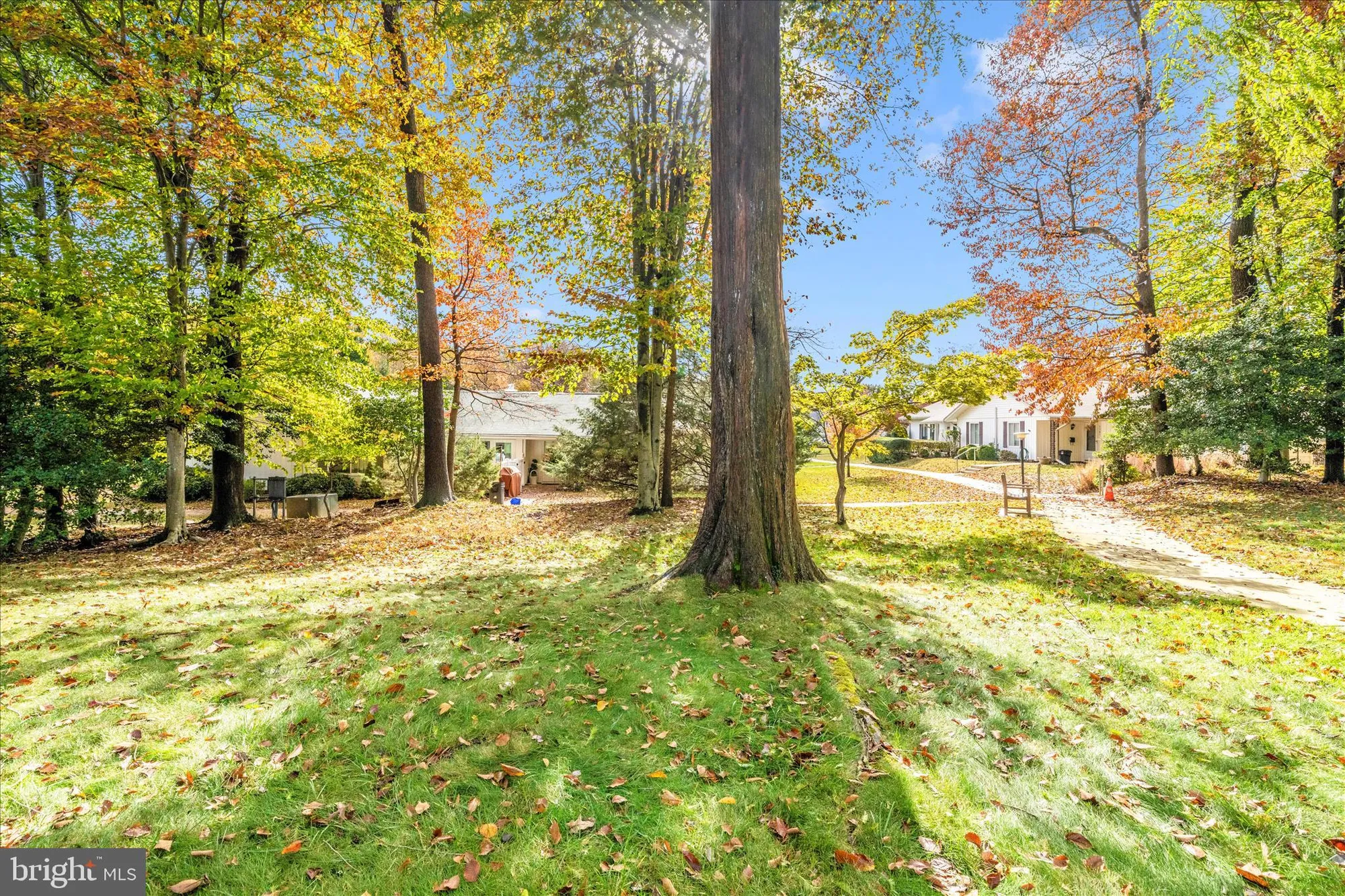 Property Slideshow image 49 of 78 | 3101 farnborough ct # 257b, Silver Spring, MD, 20906