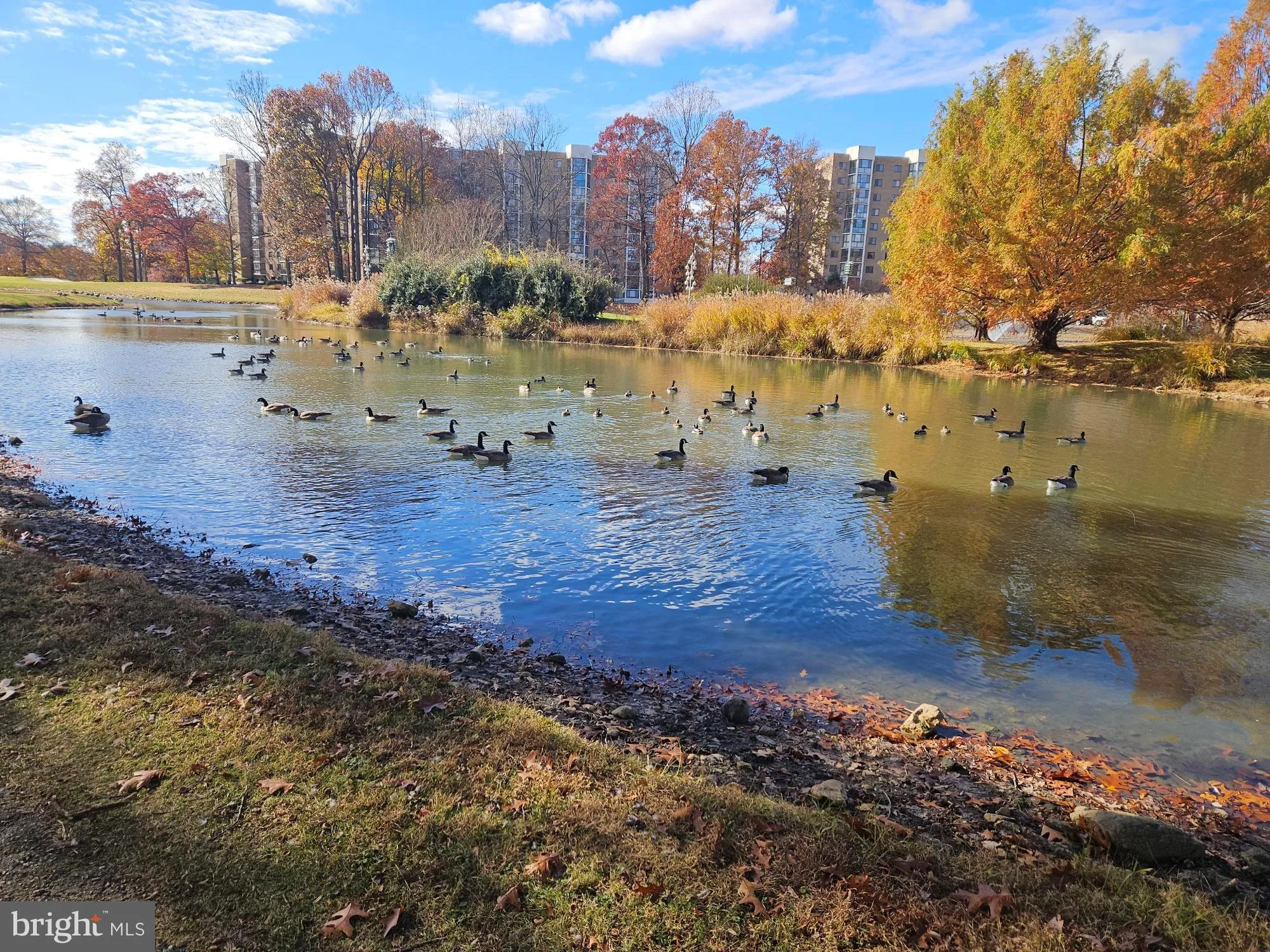 Property Slideshow image 24 of 35 | 15107 interlachen dr 2-815, Silver Spring, MD, 20906