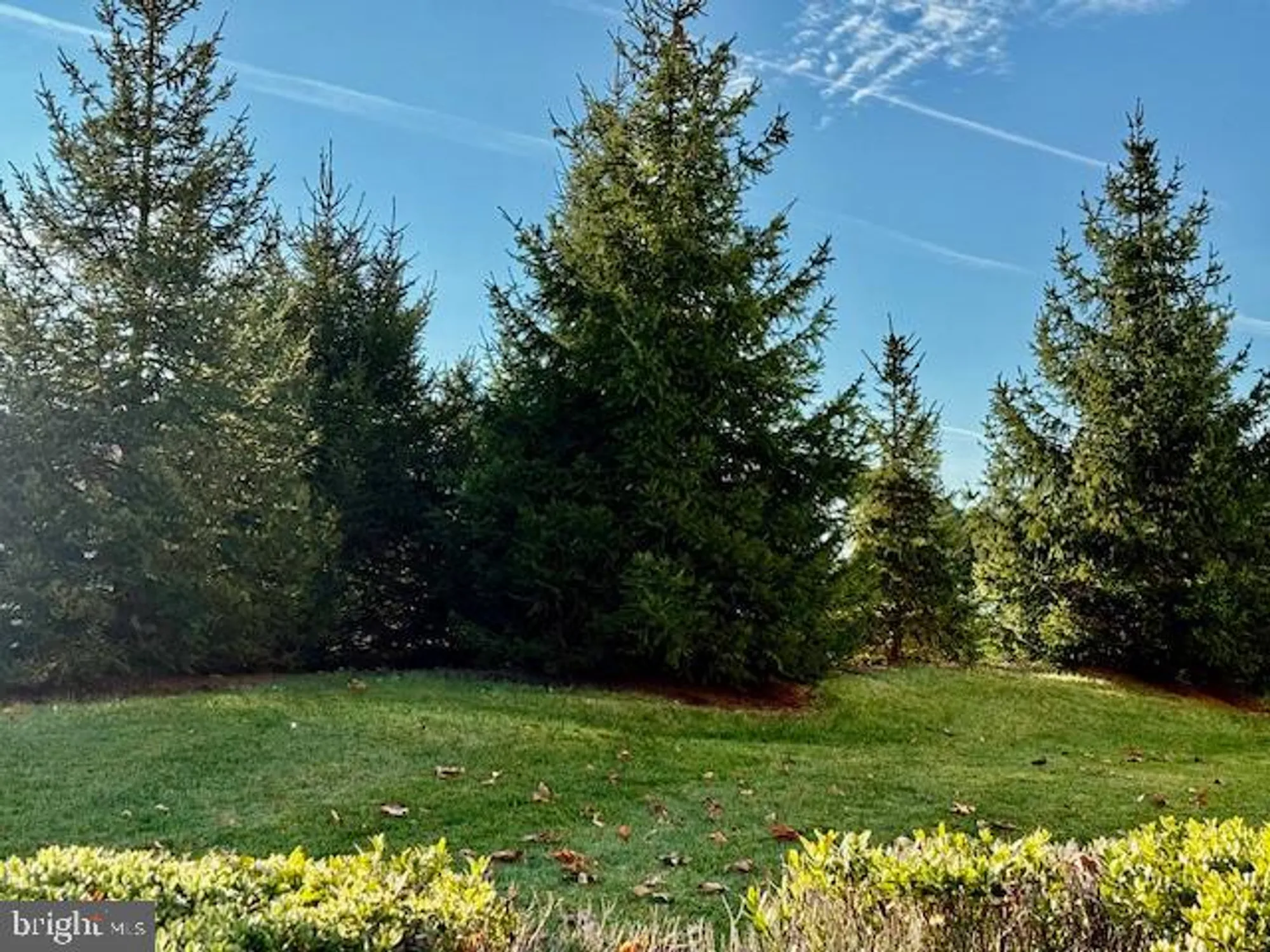 Property Slideshow image 38 of 65 | 9 bellingham dr, Kendall Park, NJ, 08824