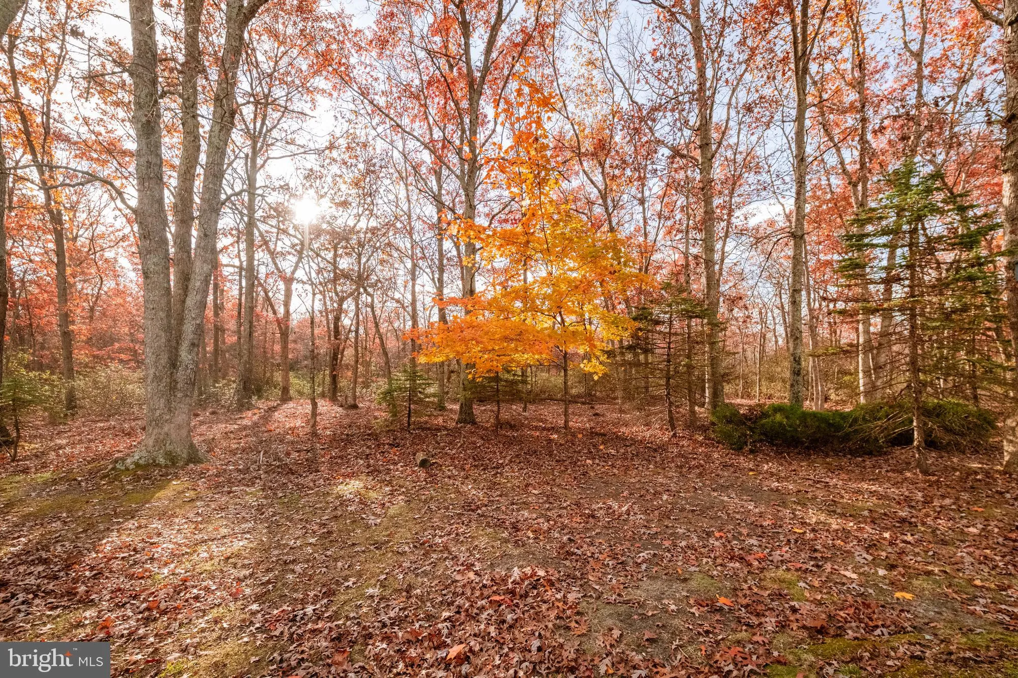 Property Slideshow image 22 of 23 | 519 petunia ln n # la # n, Whiting, NJ, 08759