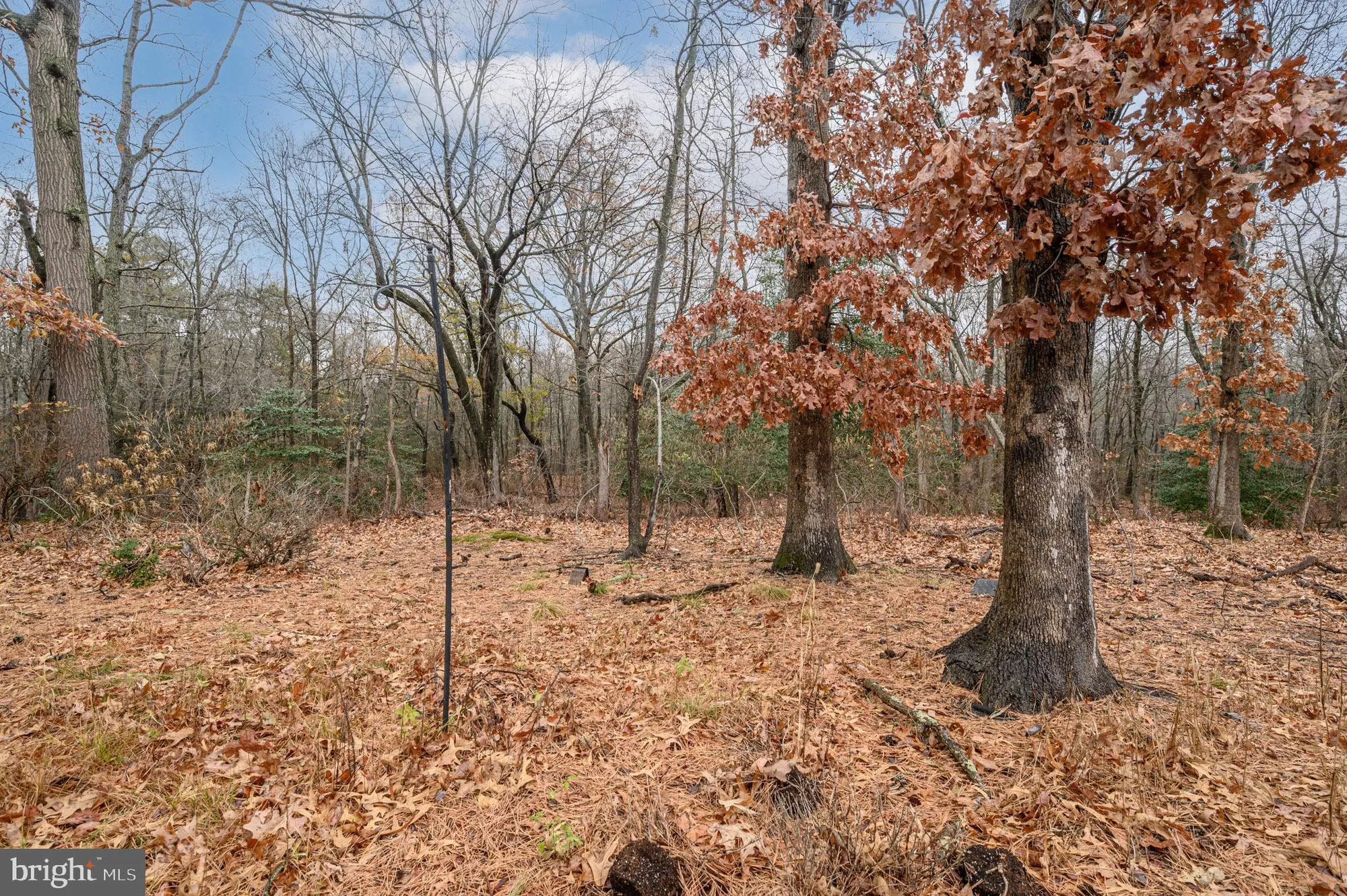 Property Slideshow image 30 of 42 | 20 buxton ct, Southampton, NJ, 08088