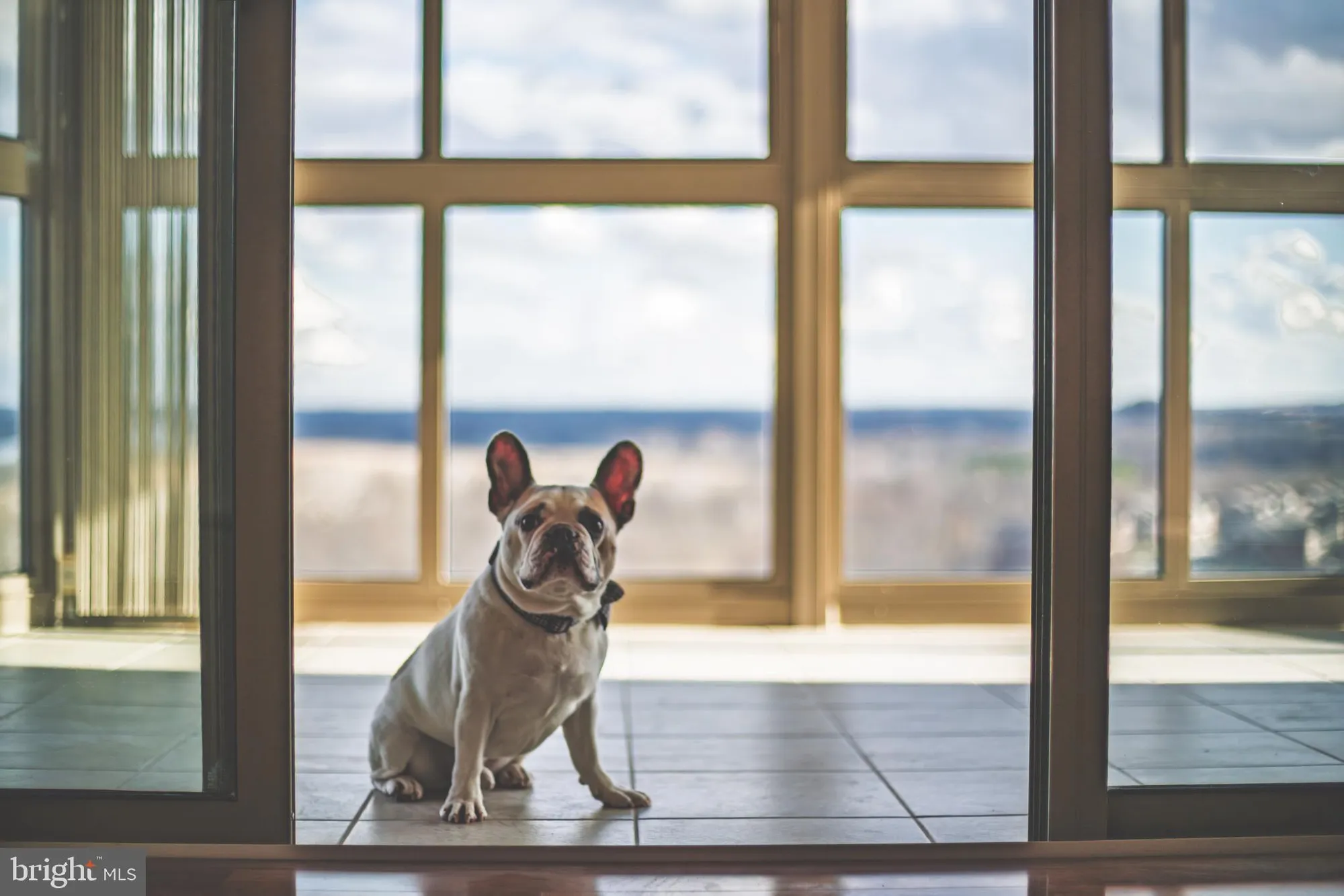 Property Slideshow image 86 of 88 | 19355 cypress ridge ter 1006, Leesburg, VA, 20176