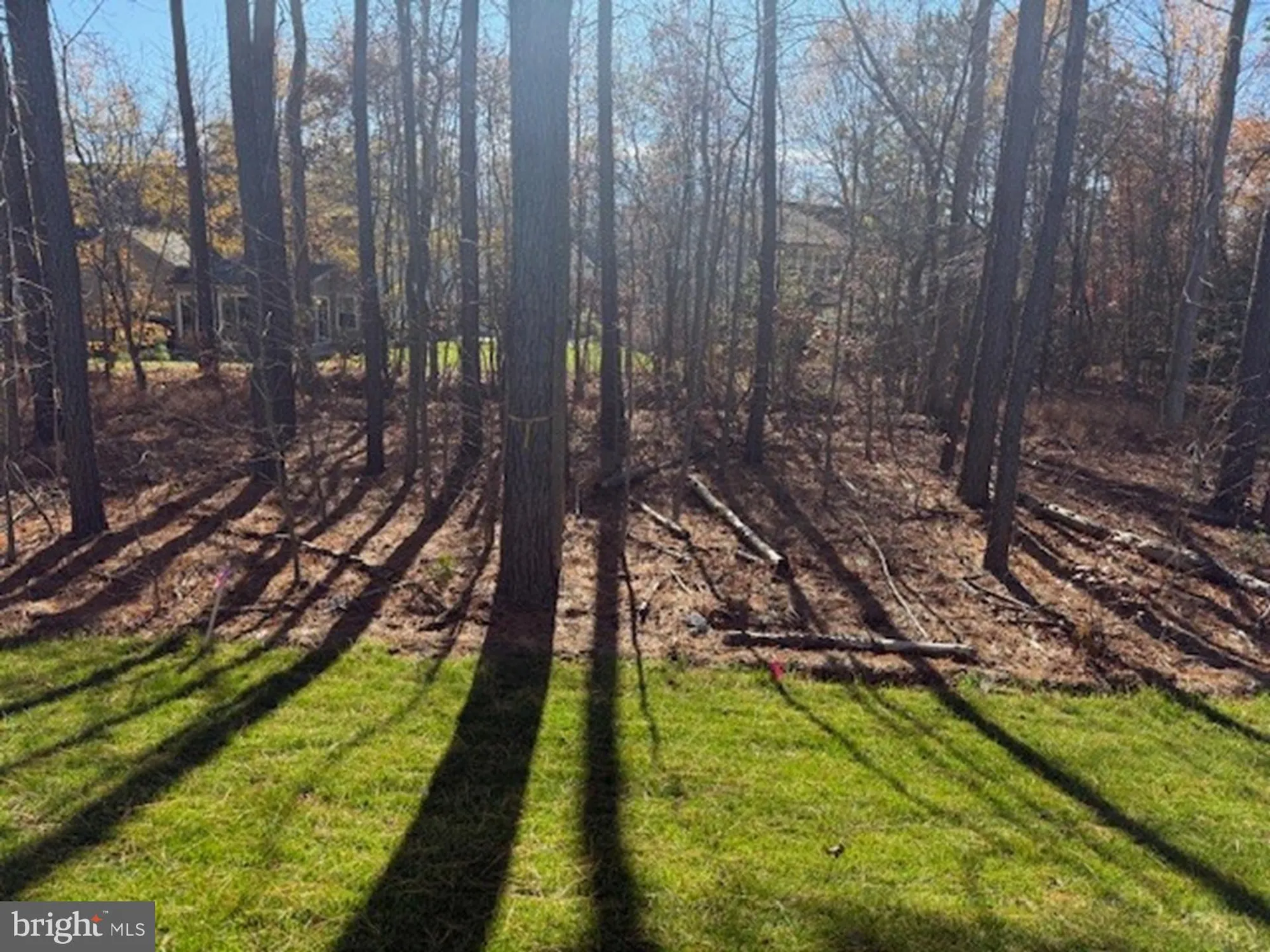 Property Slideshow image 15 of 19 | 185 merrick way, Ocean View, DE, 19970