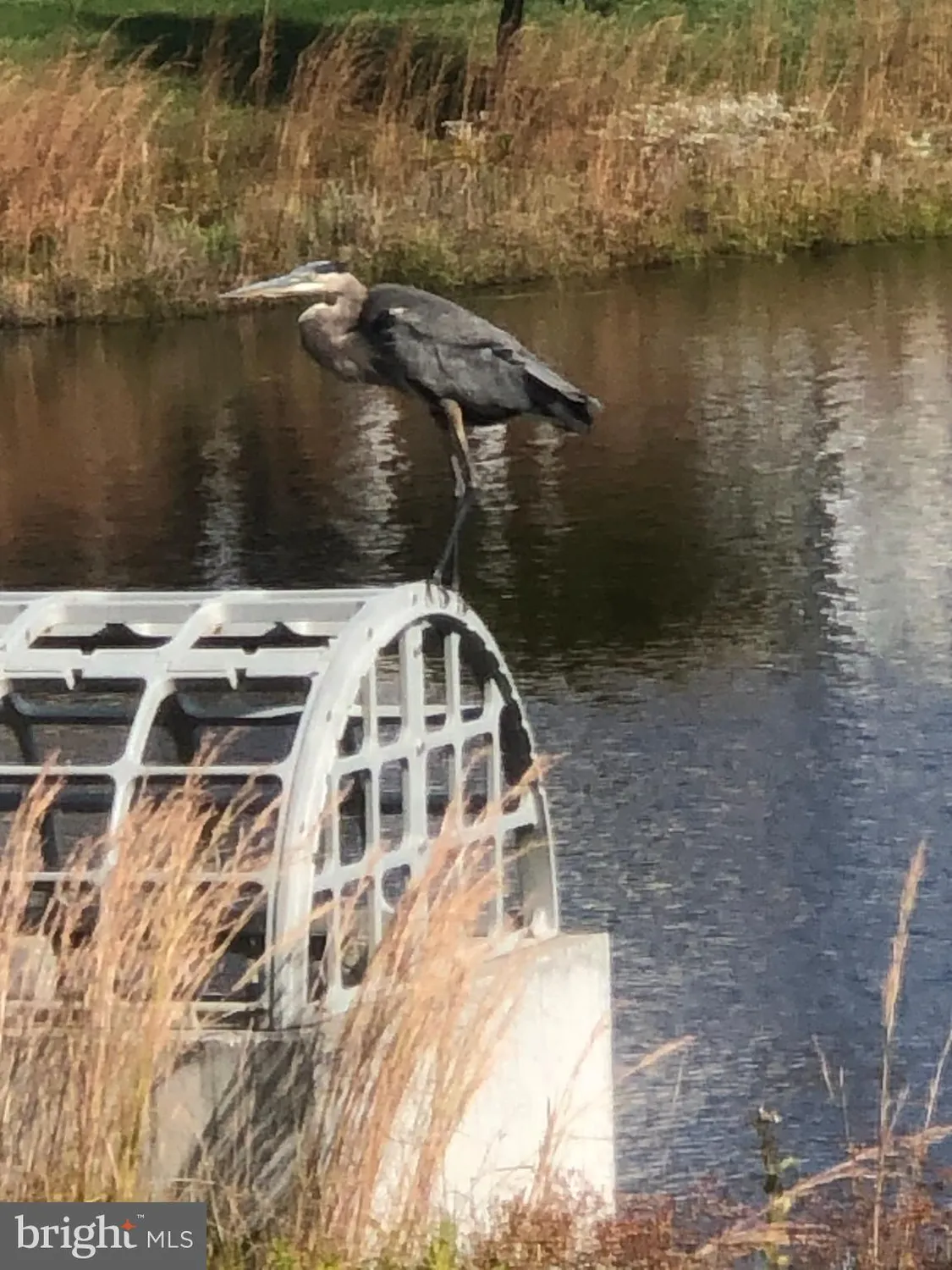 Property Slideshow image 4 of 66 | 17010 bellevue ct, Millville, DE, 19967