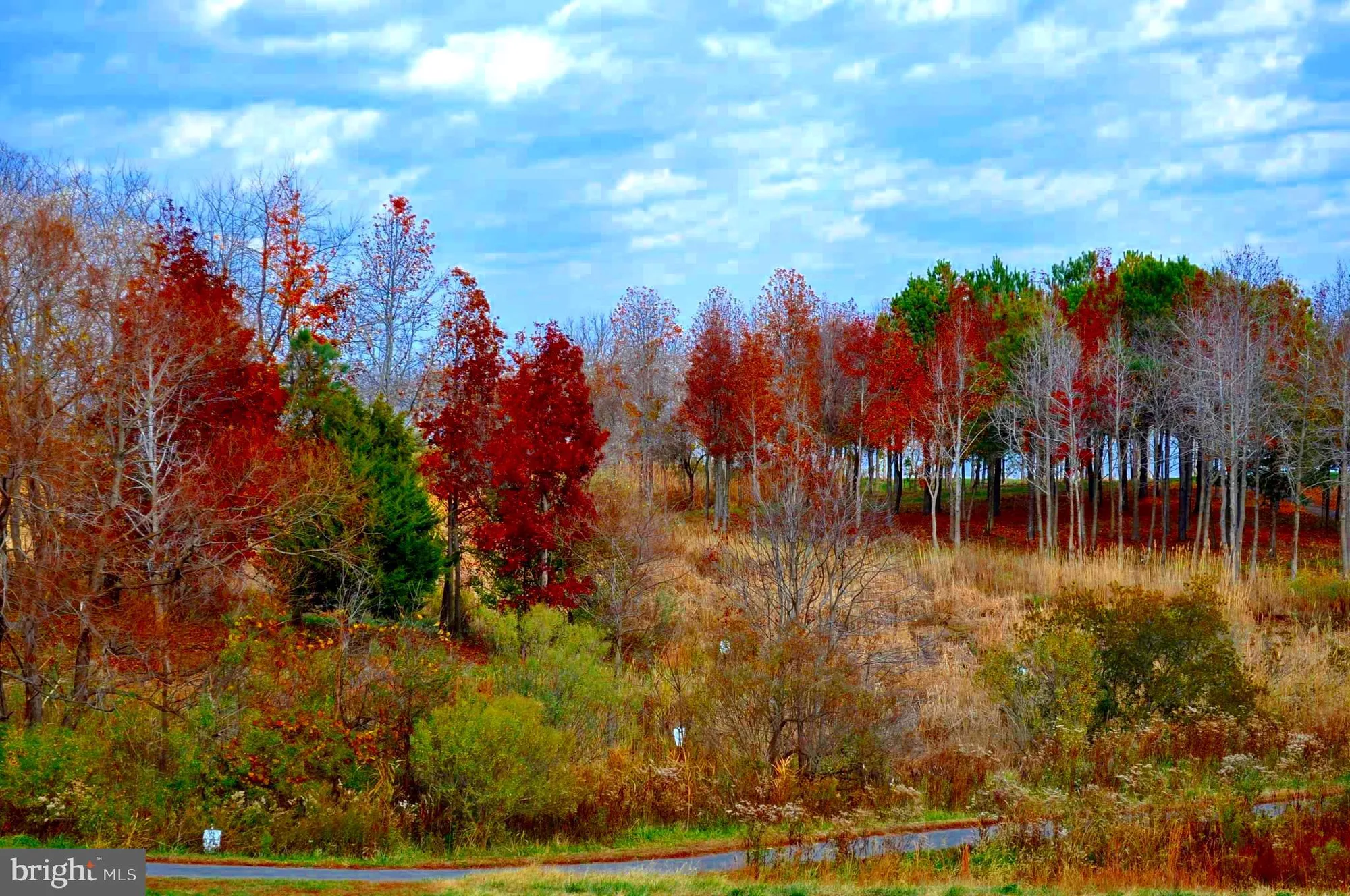 Property Slideshow image 75 of 79 | 170 harrier way unit 22, Chester, MD, 21619