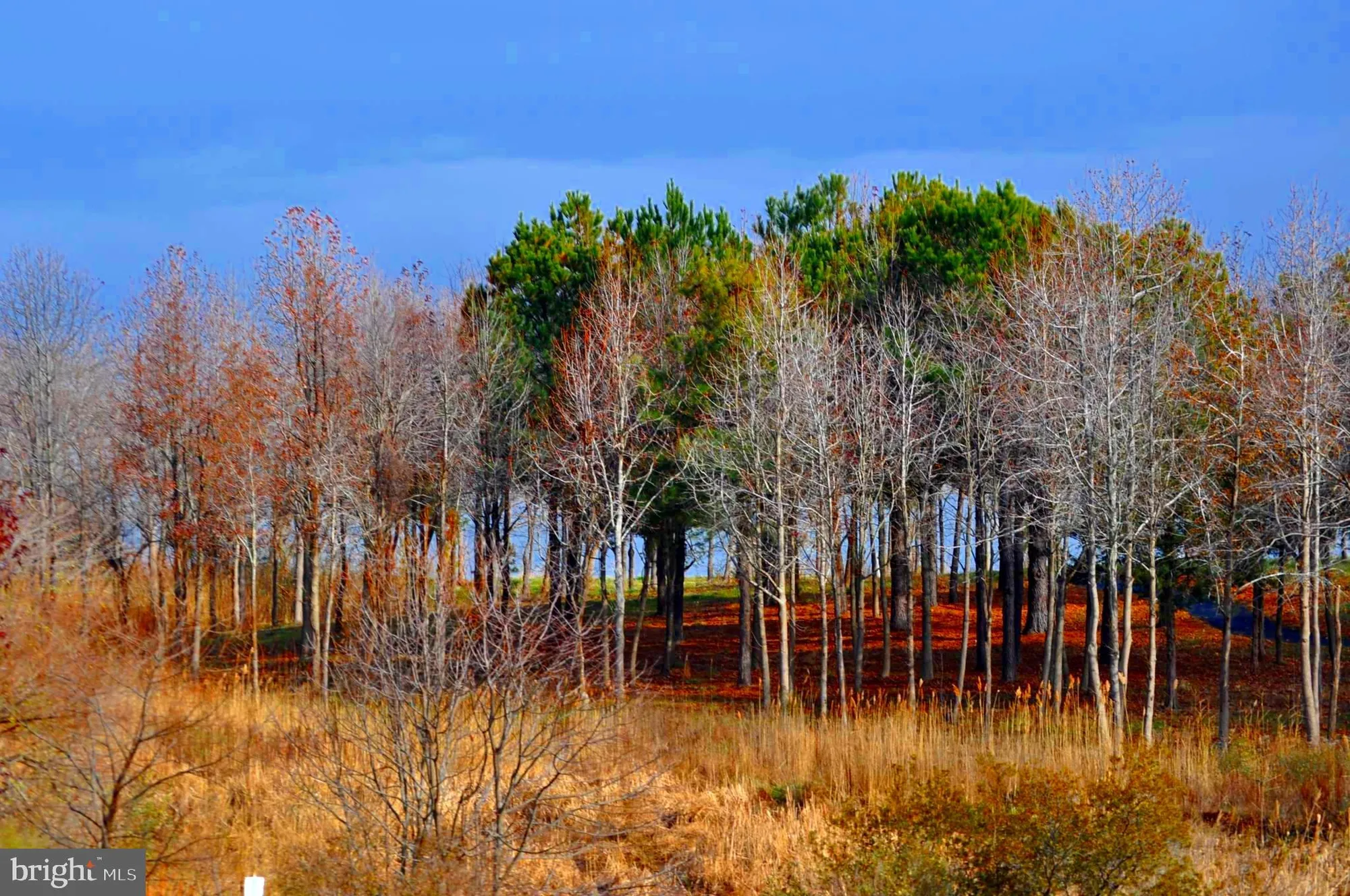 Property Slideshow image 78 of 79 | 170 harrier way unit 22, Chester, MD, 21619
