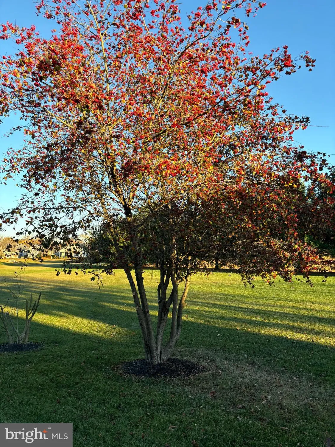 Property Slideshow image 31 of 37 | 136 sandpiper ln, West Deptford, NJ, 08086
