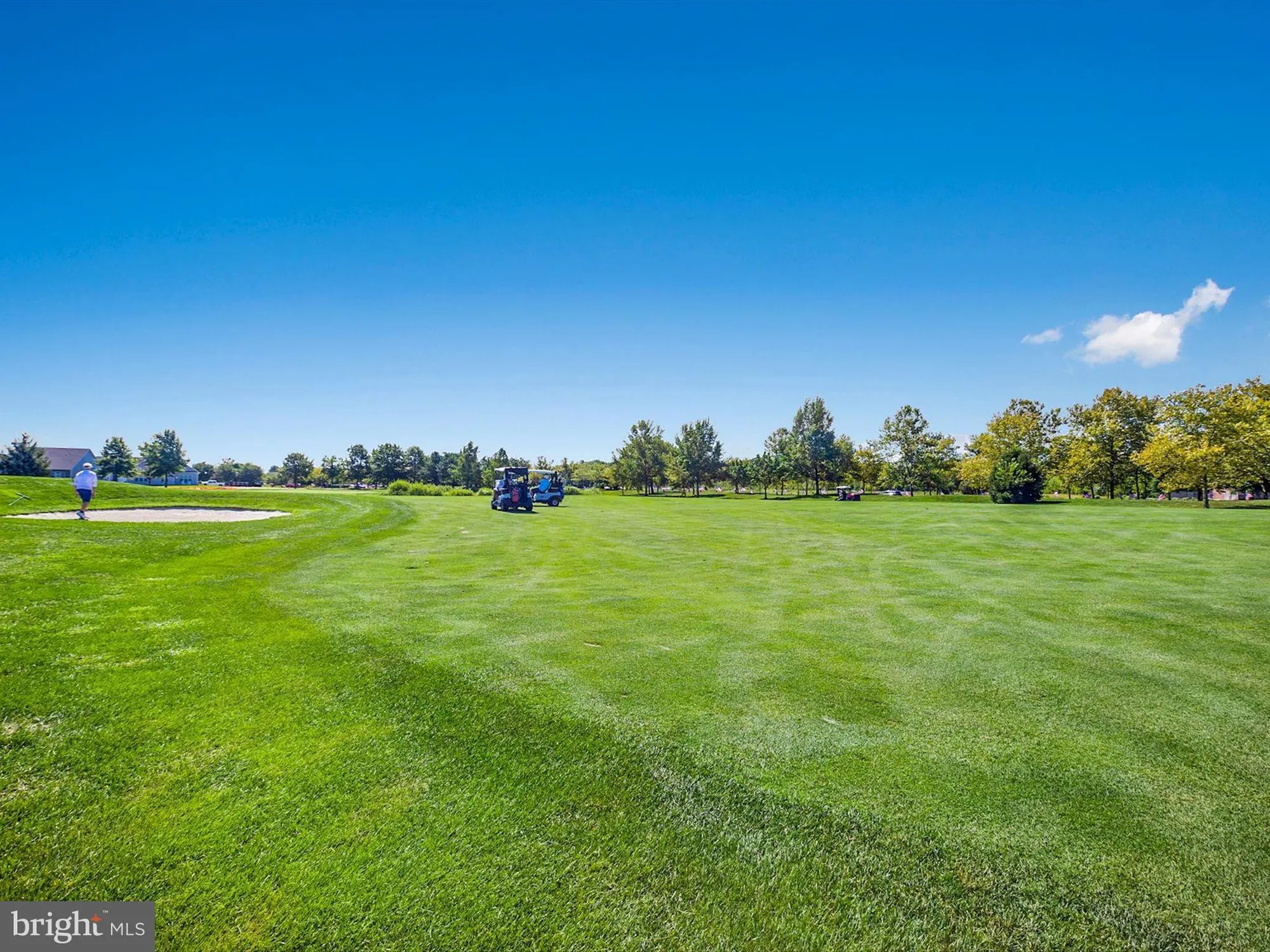 Property Slideshow image 79 of 85 | 78 whistling duck dr, Bridgeville, DE, 19933