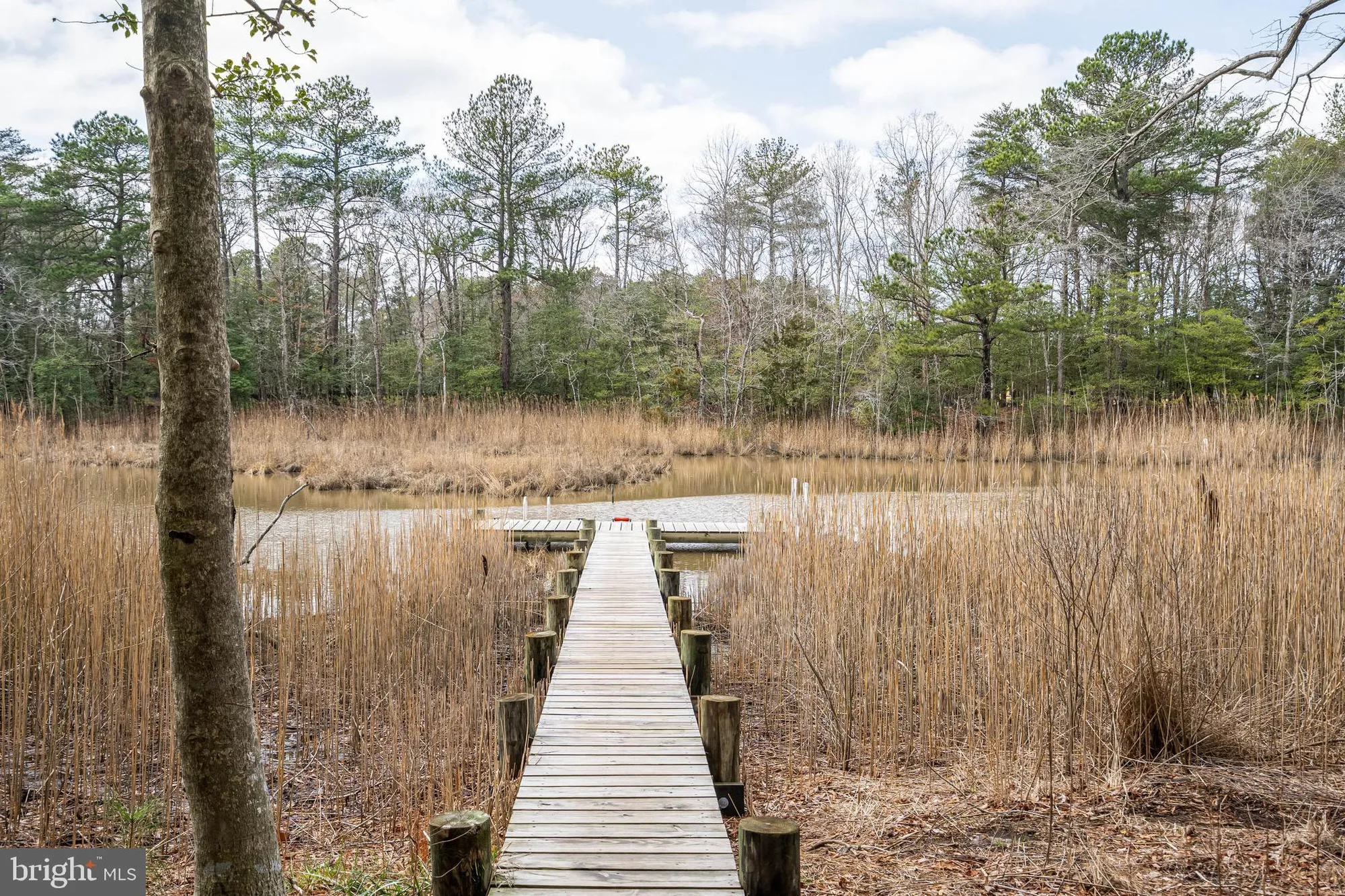 Property Slideshow image 46 of 60 | 19161 chartres st, Lewes, DE, 19958