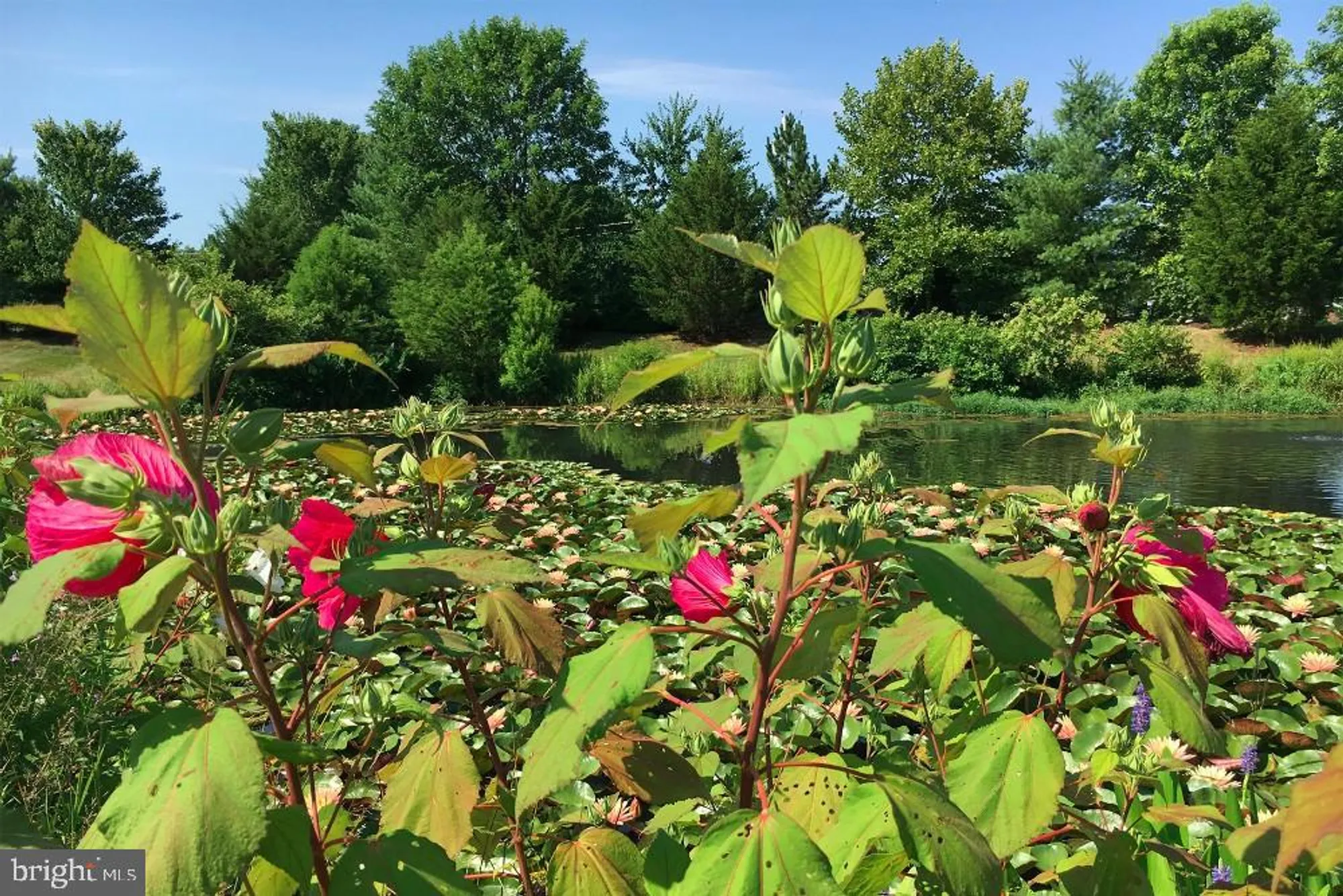 Property Slideshow image 86 of 89 | 7371 michael ave, Easton, MD, 21601