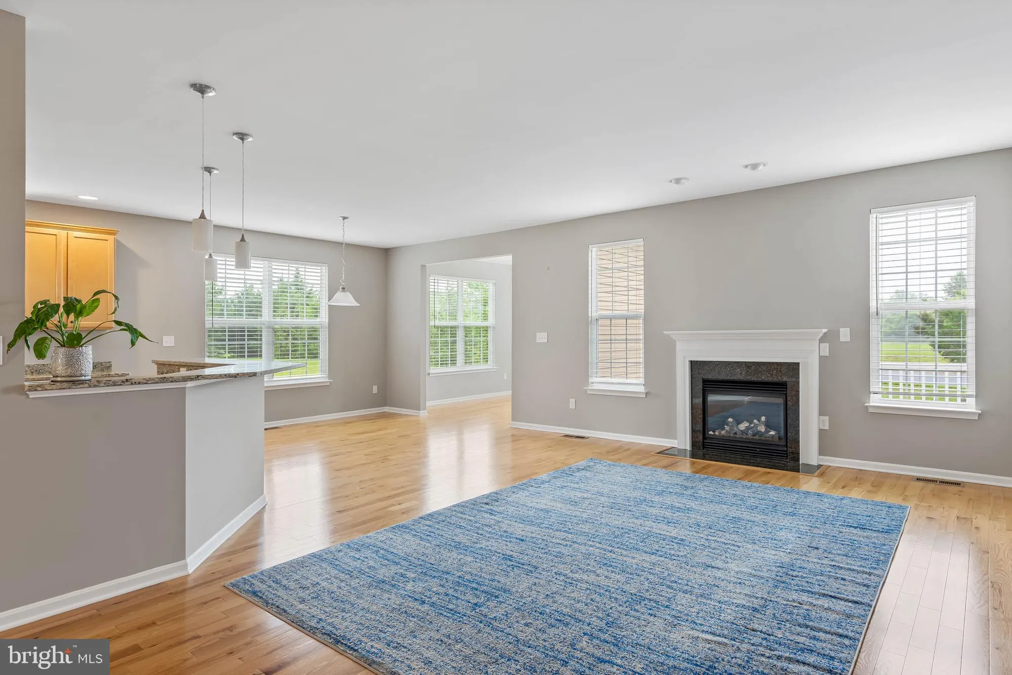 Property Slideshow image 9 of 50 | 34 sahalee ct, Magnolia, DE, 19962