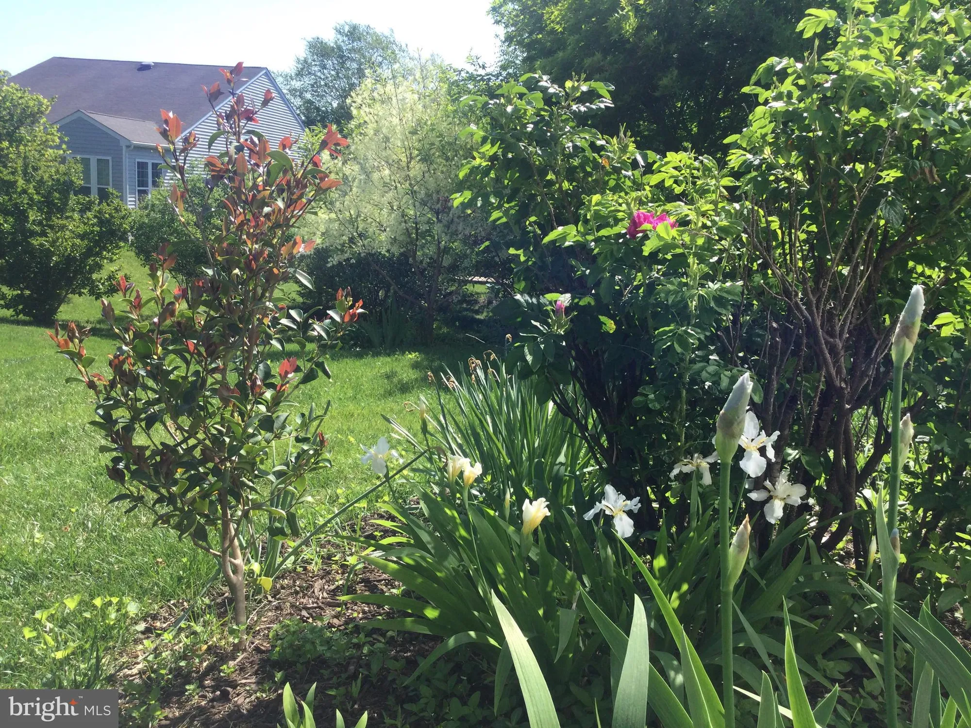 Property Slideshow image 33 of 43 | 9 brant ct, Fredericksburg, VA, 22406