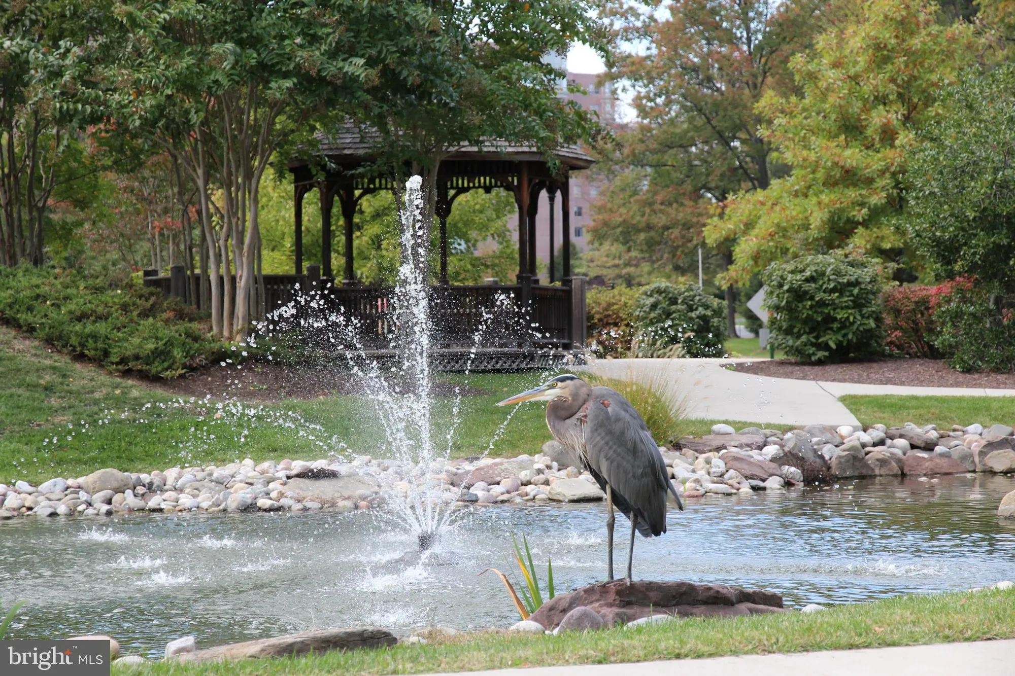 Property Slideshow image 41 of 44 | 15300 beaverbrook ct 88-2b, Silver Spring, MD, 20906