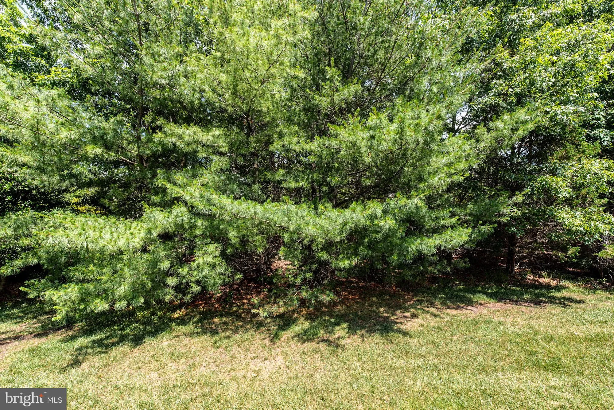 Property Slideshow image 55 of 60 | 64 portland st, Barnegat, NJ, 08005