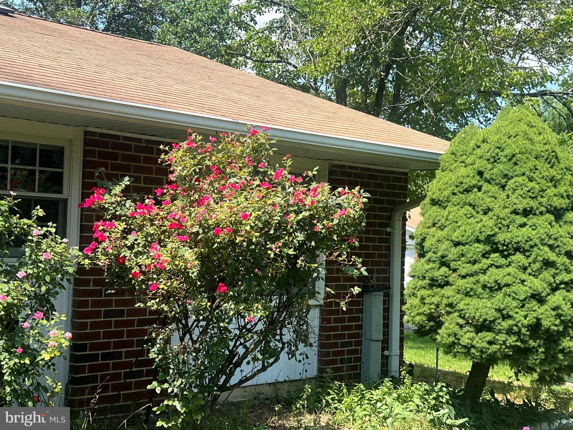 Property Slideshow image 4 of 28 | 1099a argyll cir, Lakewood, NJ, 08701