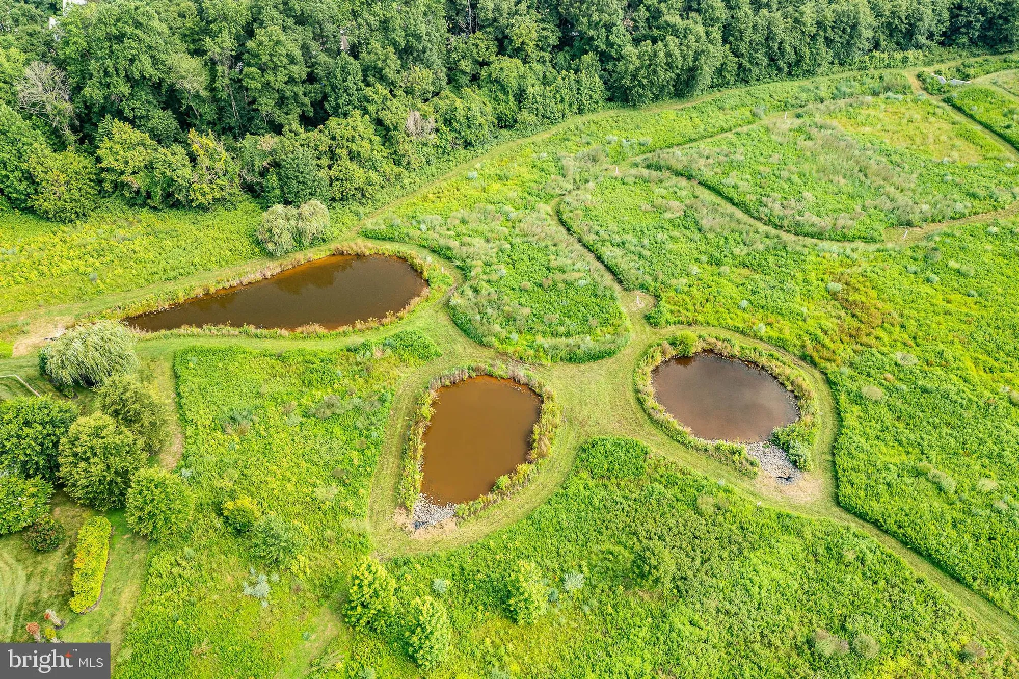 Property Slideshow image 53 of 59 | 246 anita ct, Newark, DE, 19702
