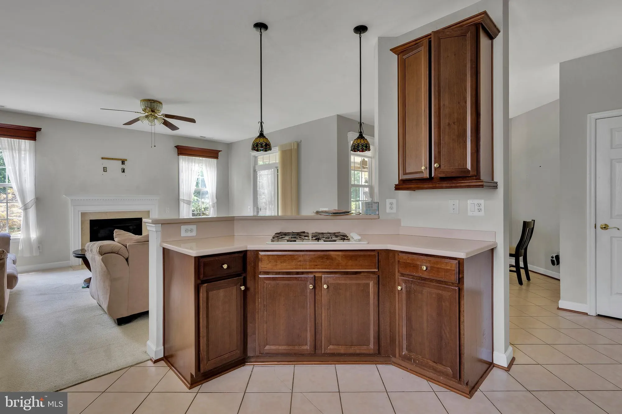 Property Slideshow image 20 of 52 | 3 amandas teal dr, Bridgeville, DE, 19933