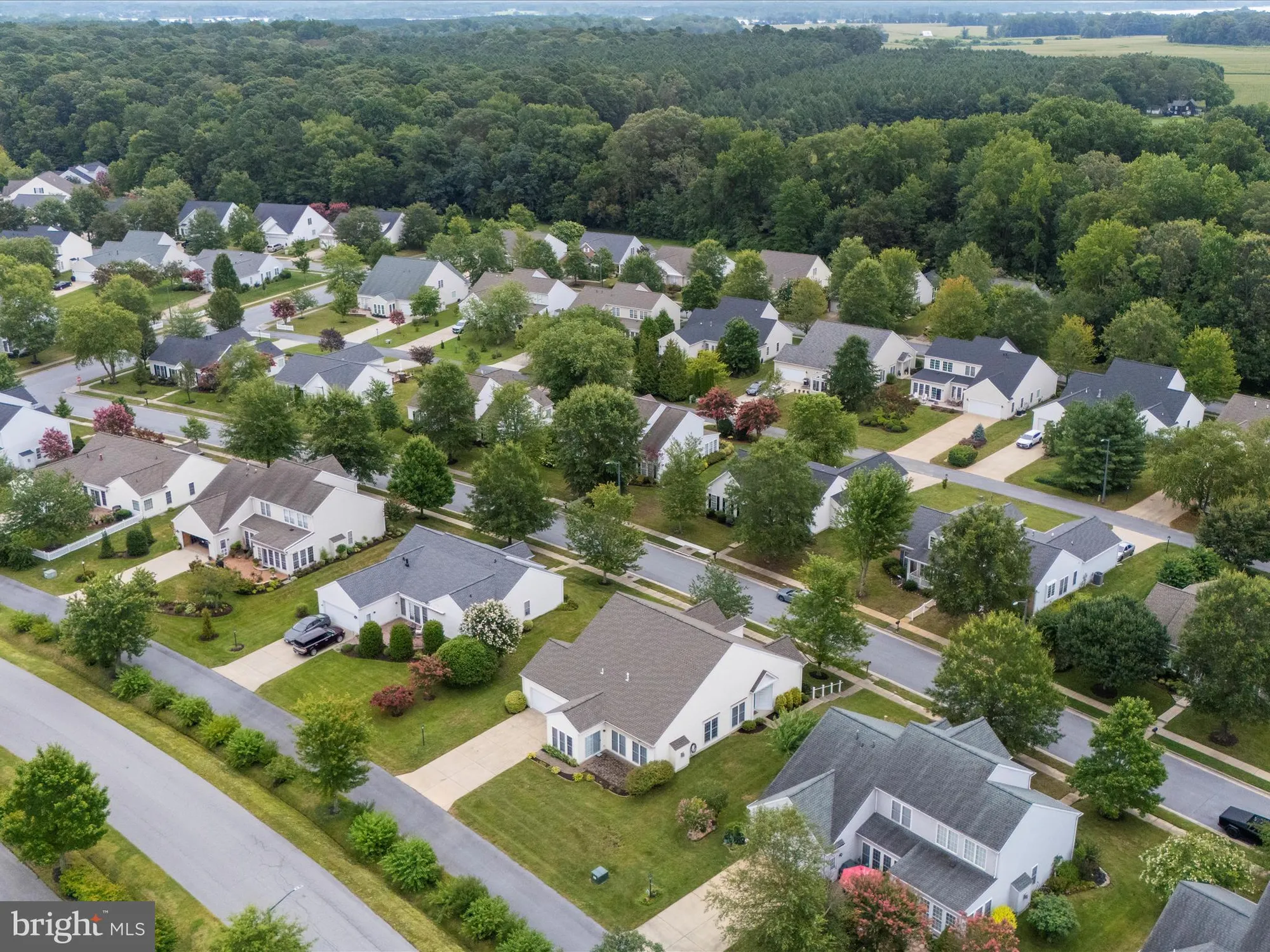 Property Slideshow image 51 of 58 | 29744 dustin ave, Easton, MD, 21601