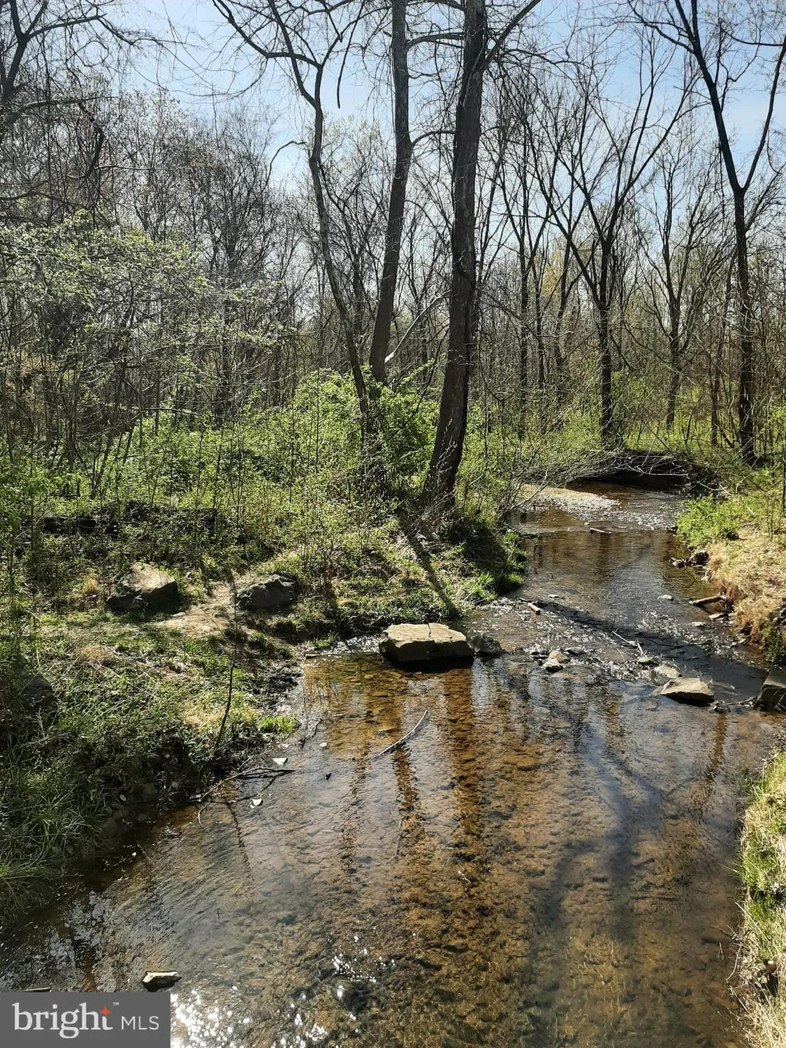 Property Slideshow image 80 of 86 | 15463 legacy way, Haymarket, VA, 20169