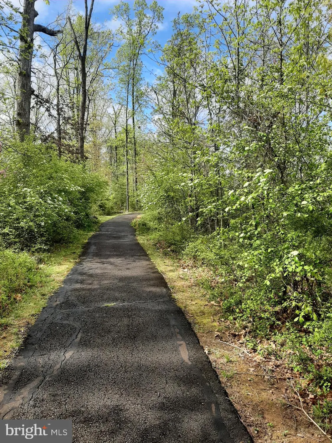 Property Slideshow image 81 of 86 | 15463 legacy way, Haymarket, VA, 20169