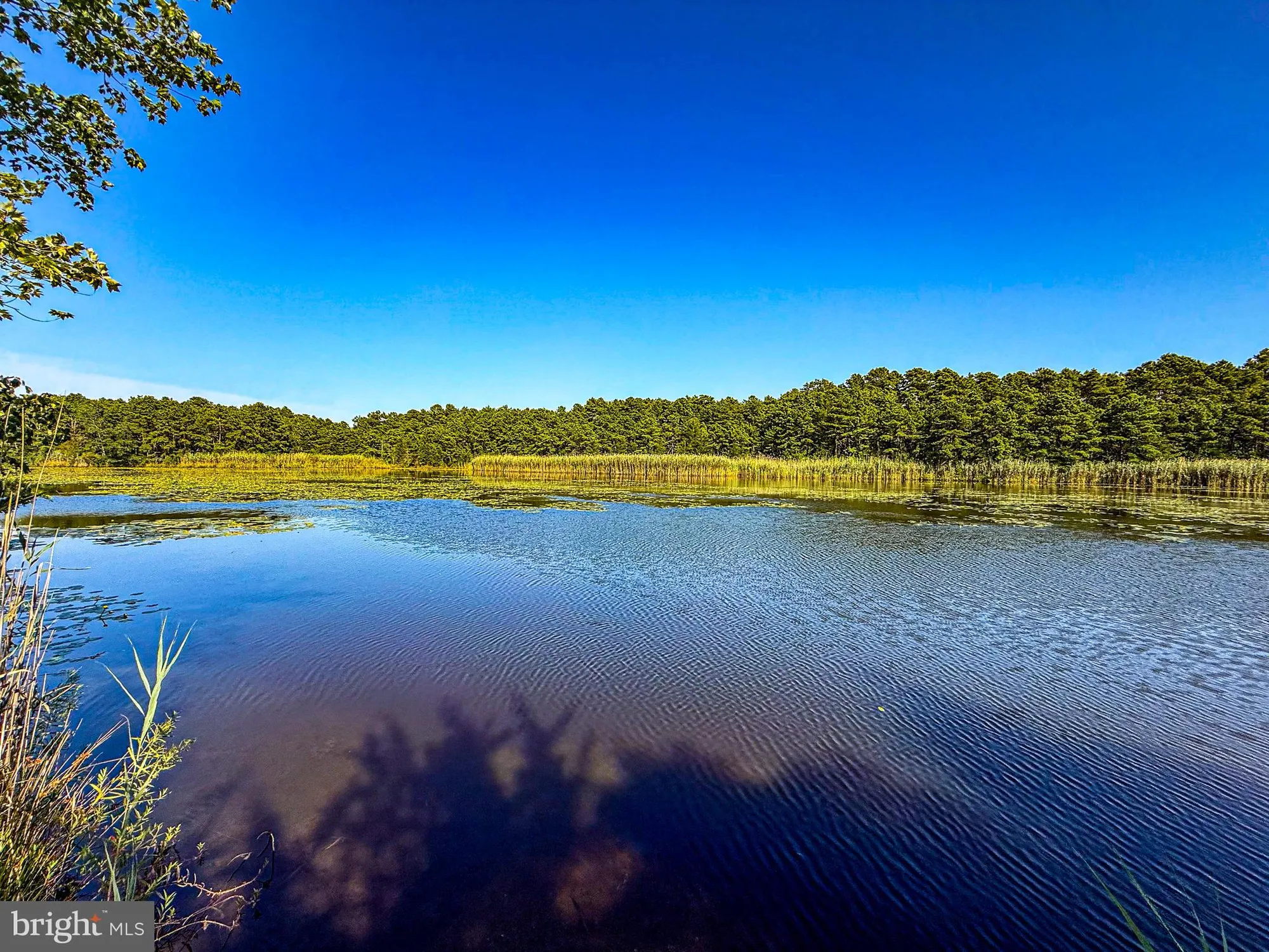 Property Slideshow image 27 of 27 | 23 cedar ave, Manahawkin, NJ, 08050