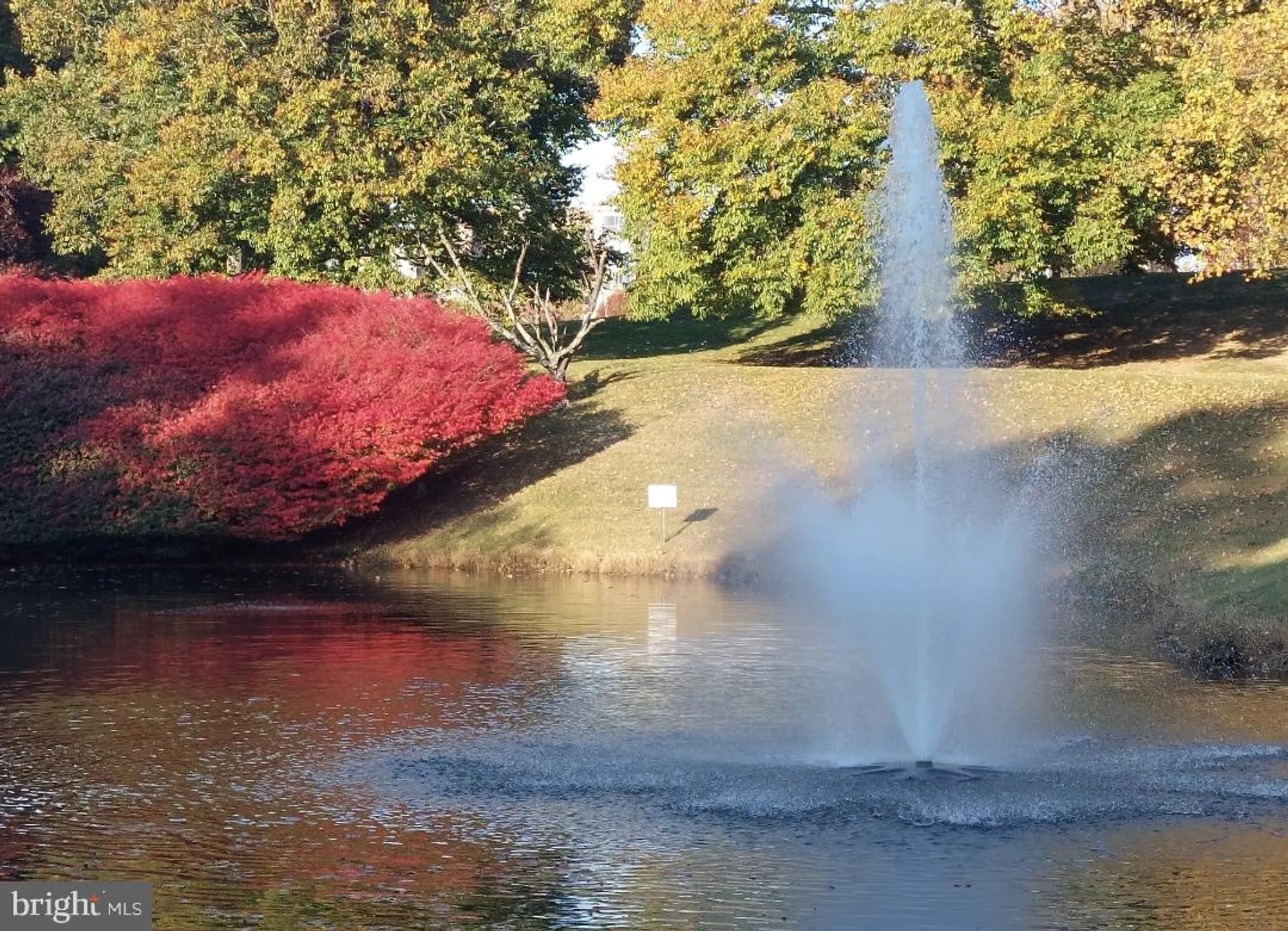 Property Slideshow image 42 of 50 | 15101 interlachen dr 1-807, Silver Spring, MD, 20906