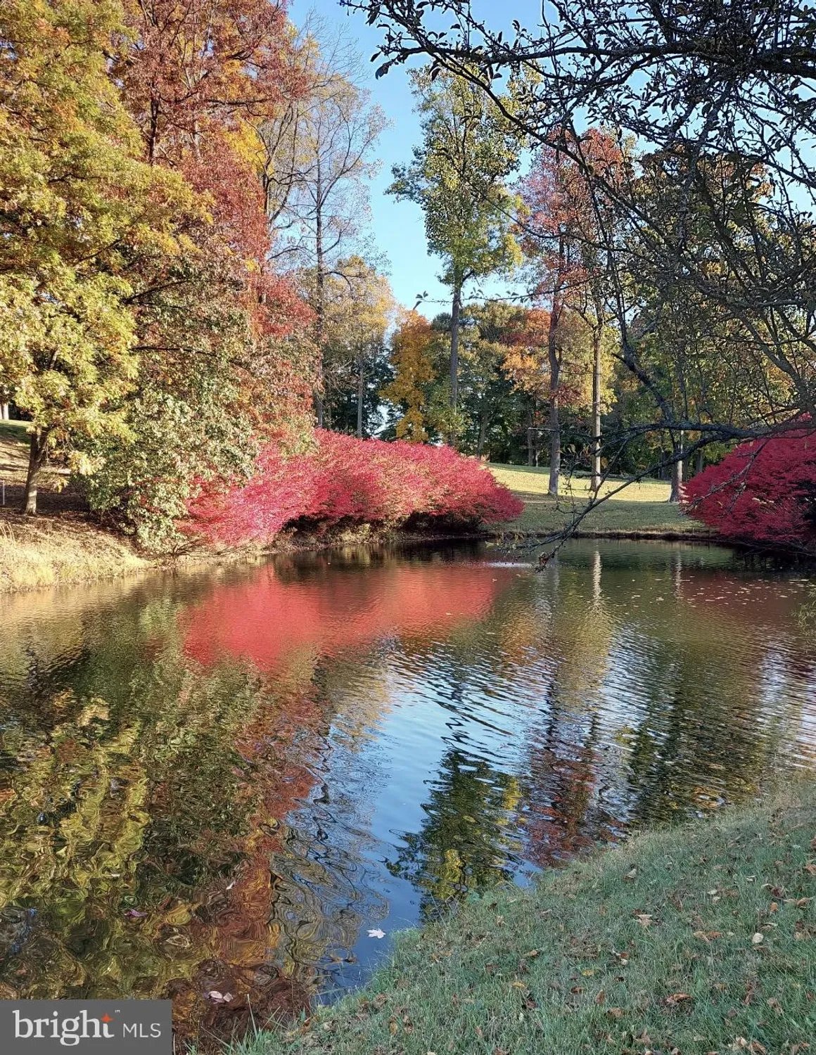 Property Slideshow image 43 of 50 | 15101 interlachen dr 1-807, Silver Spring, MD, 20906