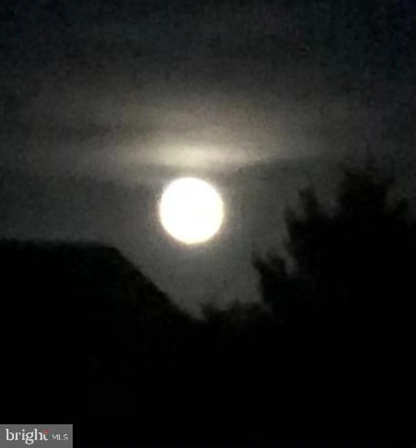 Property Slideshow image 41 of 66 | 8 harlequin loop, Bridgeville, DE, 19933