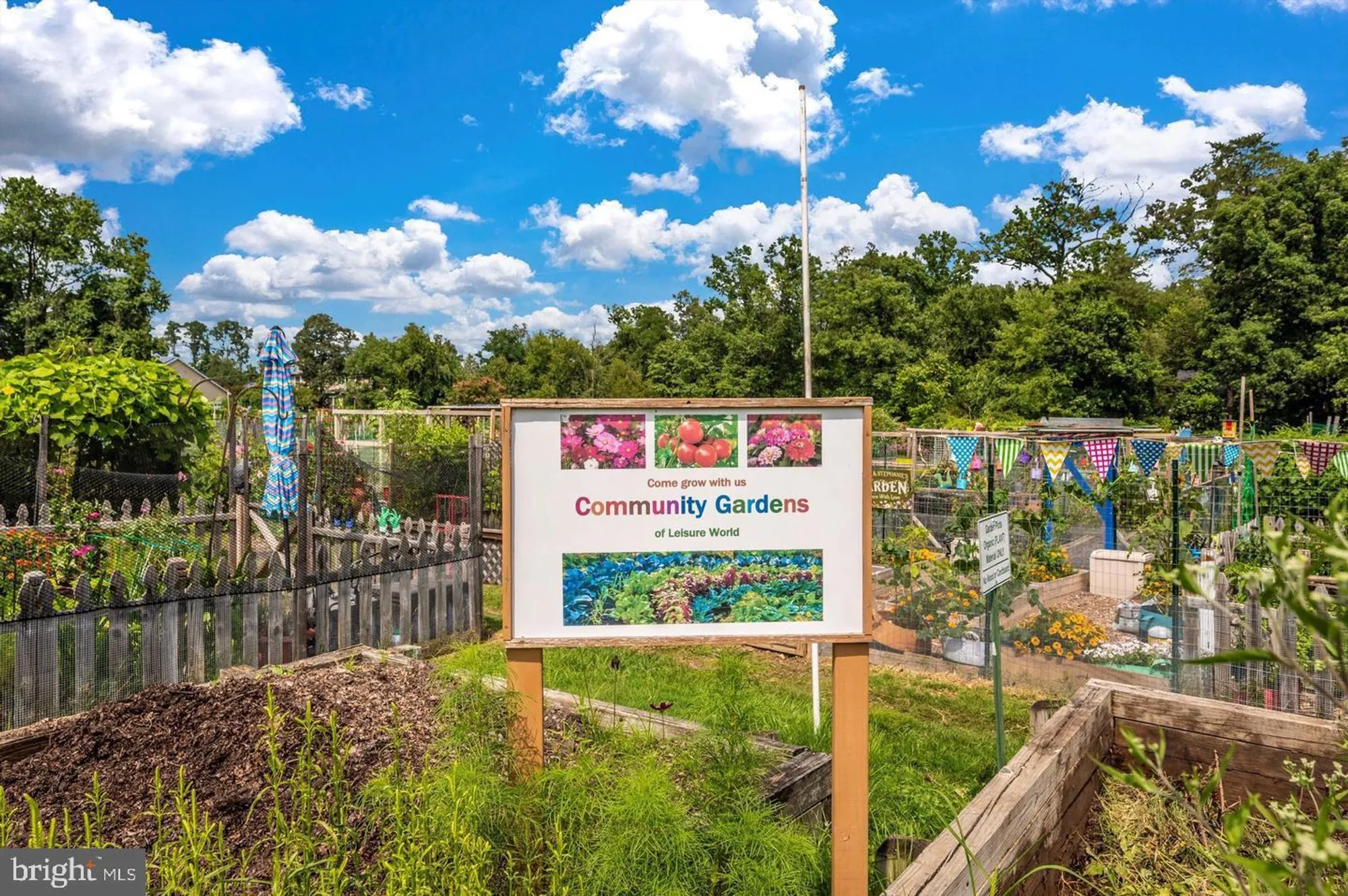 Property Slideshow image 36 of 47 | 3100 n leisure world blvd 812, Silver Spring, MD, 20906