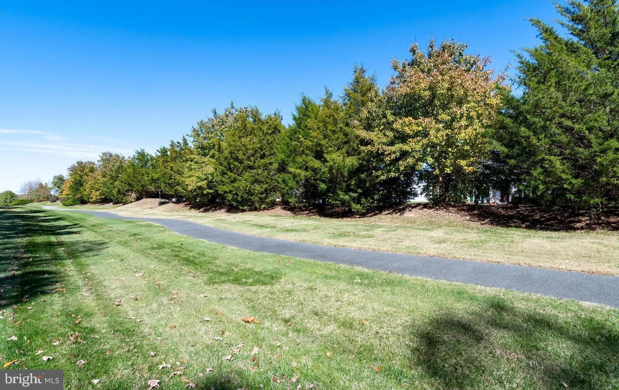 Property Slideshow image 49 of 64 | 29770 lyons dr, Easton, MD, 21601