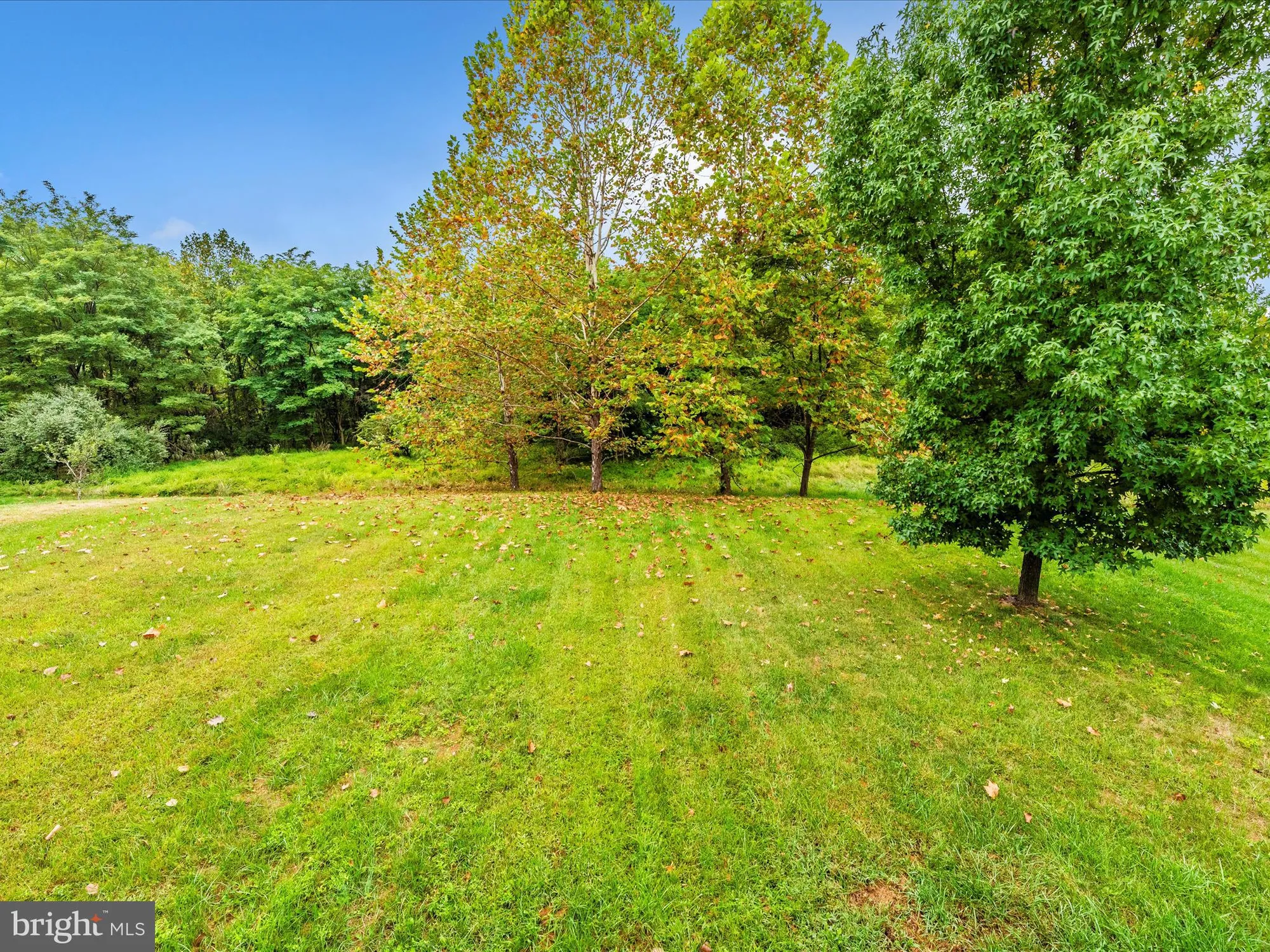 Property Slideshow image 49 of 93 | 5816 drexal ave, New Market, MD, 21774