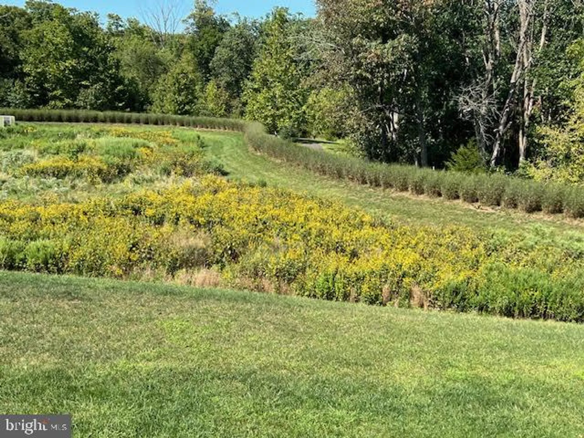 Property Slideshow image 64 of 68 | 28 bedford dr, Skillman, NJ, 08558