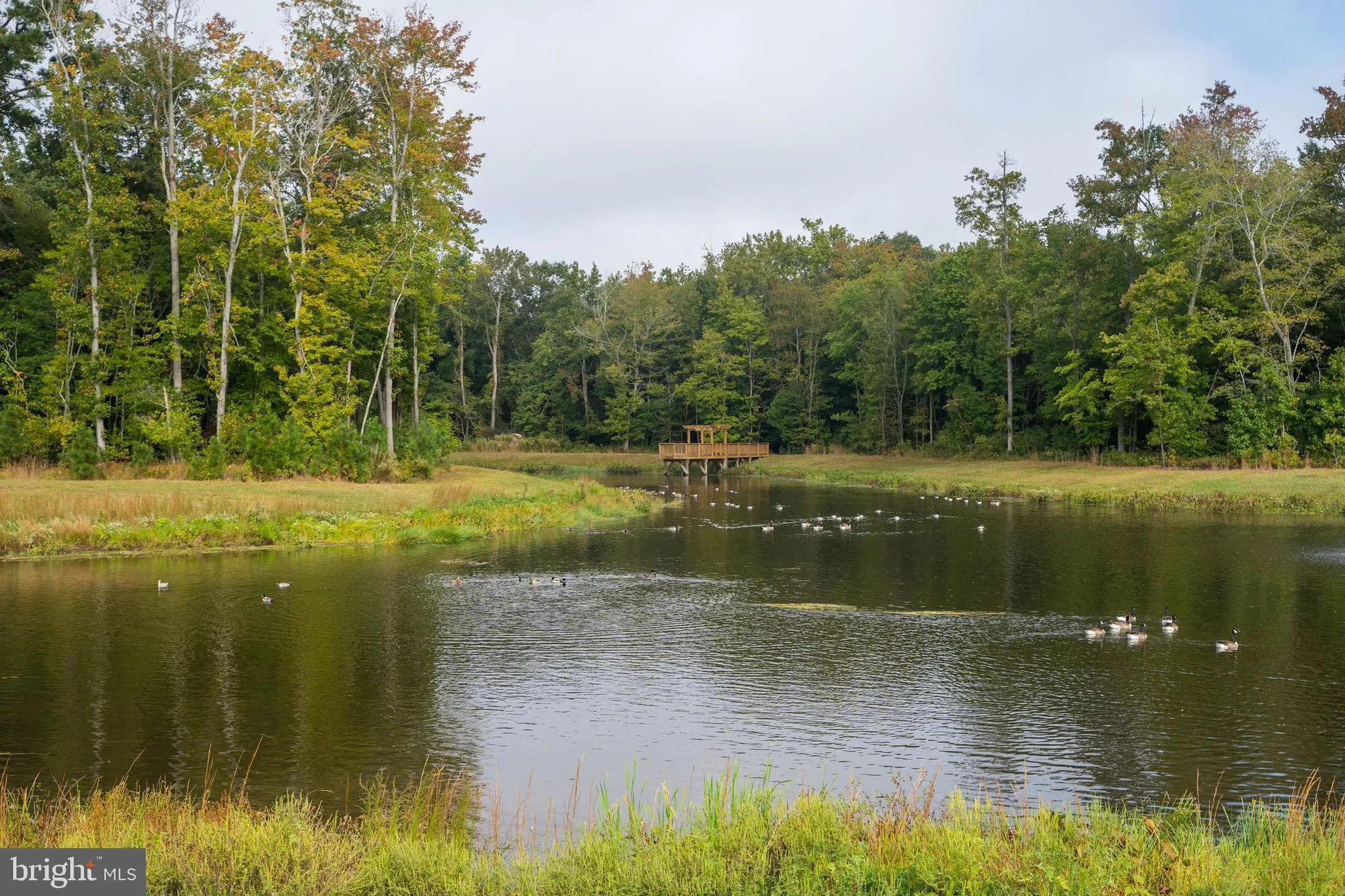 Property Slideshow image 85 of 87 | 33285 lone cedar lndg, Millville, DE, 19967