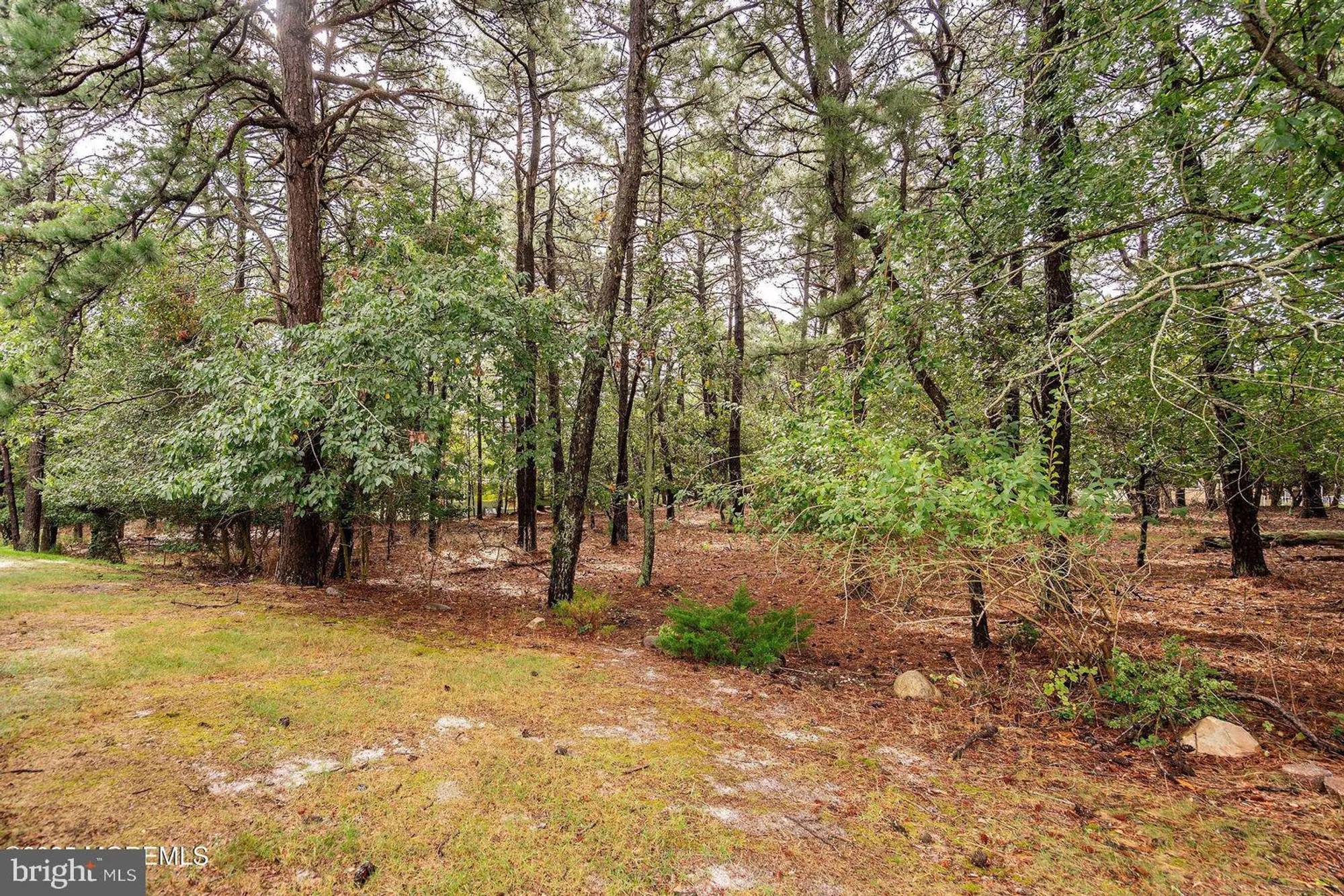 Property Slideshow image 19 of 23 | 7 drake st b, Whiting, NJ, 08759