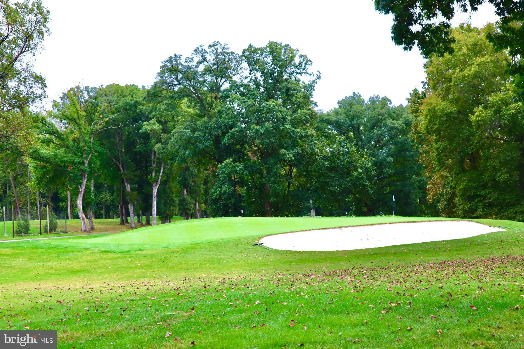 Property Slideshow image 25 of 53 | 15107 interlachen dr 2-119, Silver Spring, MD, 20906