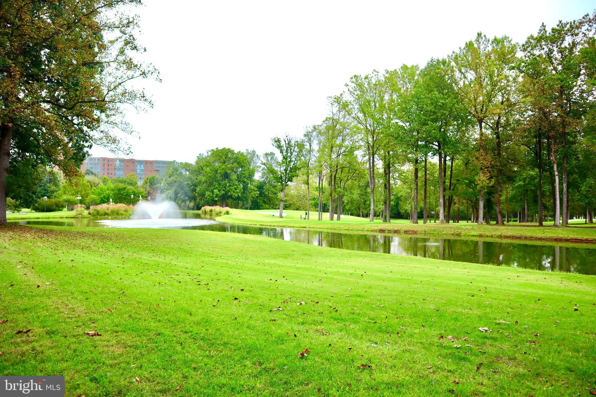 Property Slideshow image 4 of 53 | 15107 interlachen dr 2-119, Silver Spring, MD, 20906