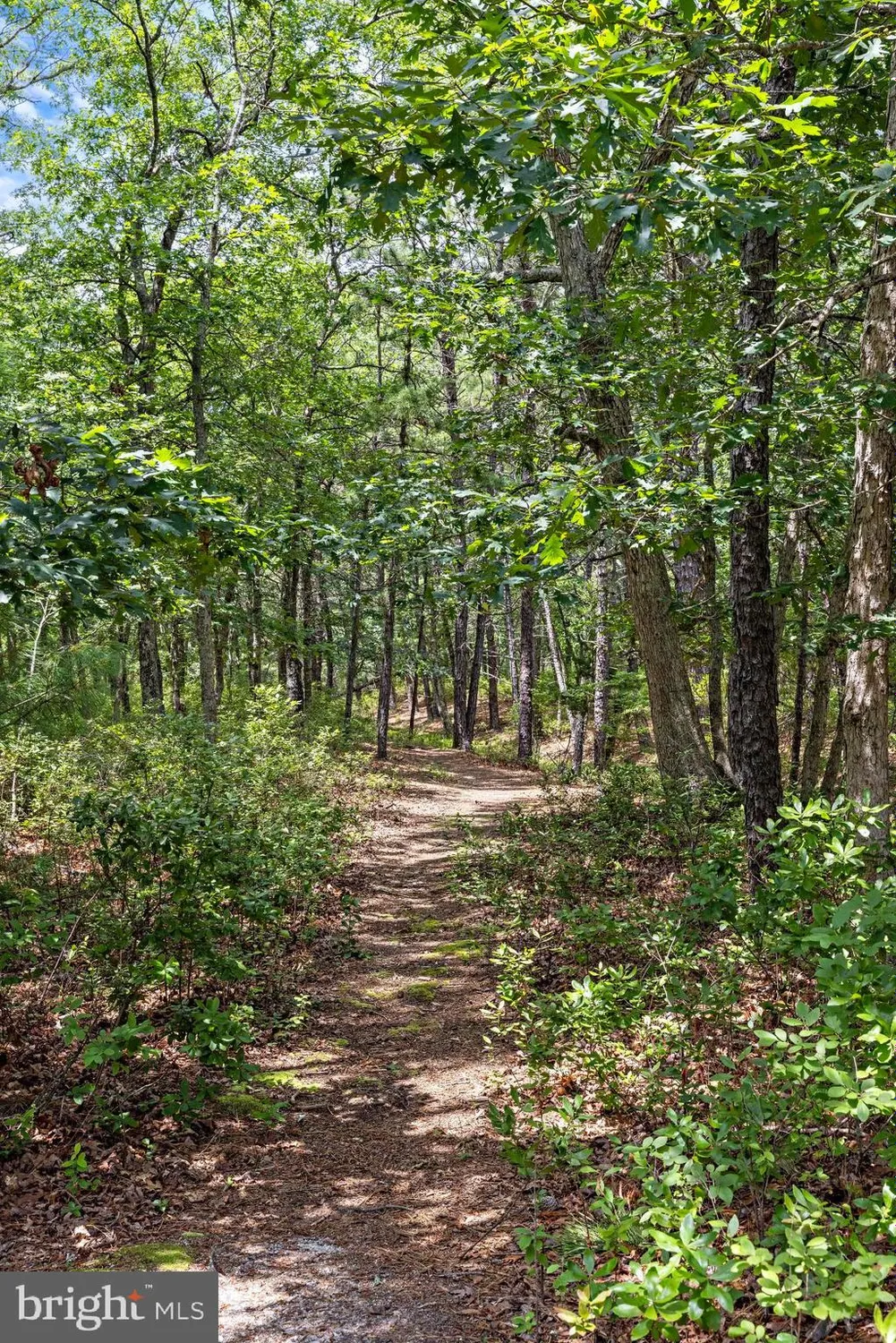 Property Slideshow image 45 of 47 | 102 ash rd, Manahawkin, NJ, 08050