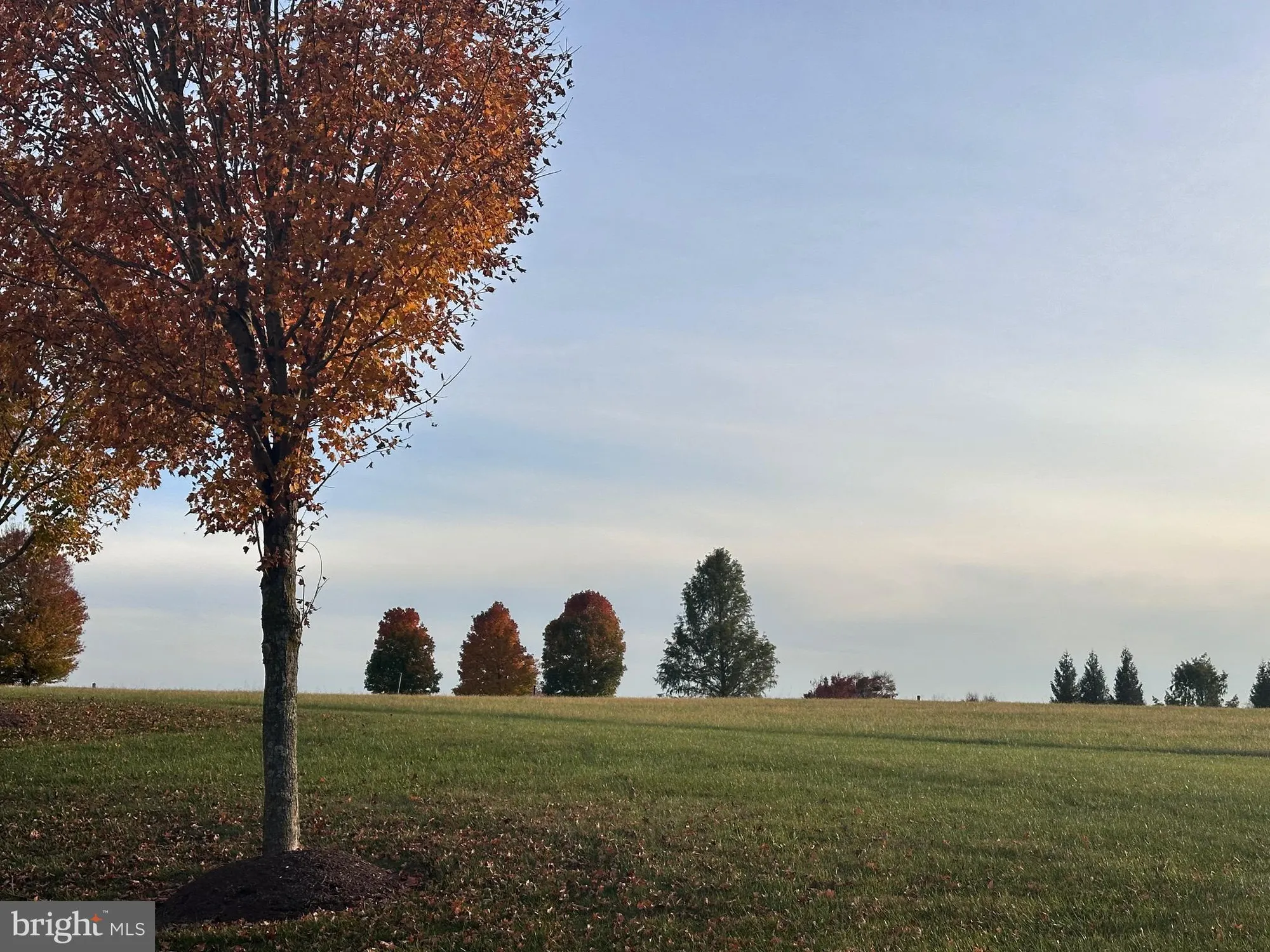 Property Slideshow image 9 of 9 | 15207 callaway ct 105, Glenwood, MD, 21738