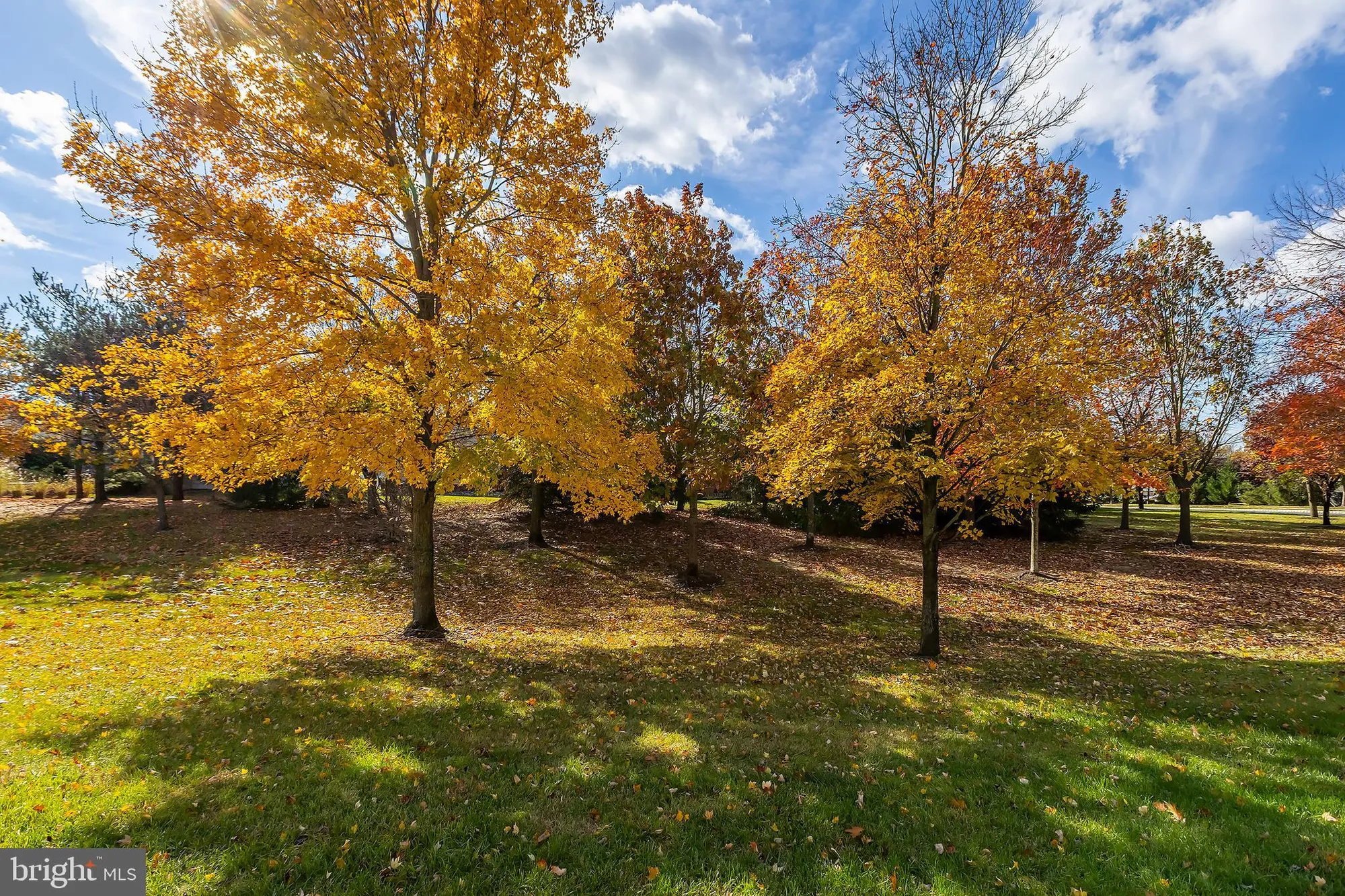 Property Slideshow image 47 of 47 | 4 hylton rd, Woolwich Twp, NJ, 08085