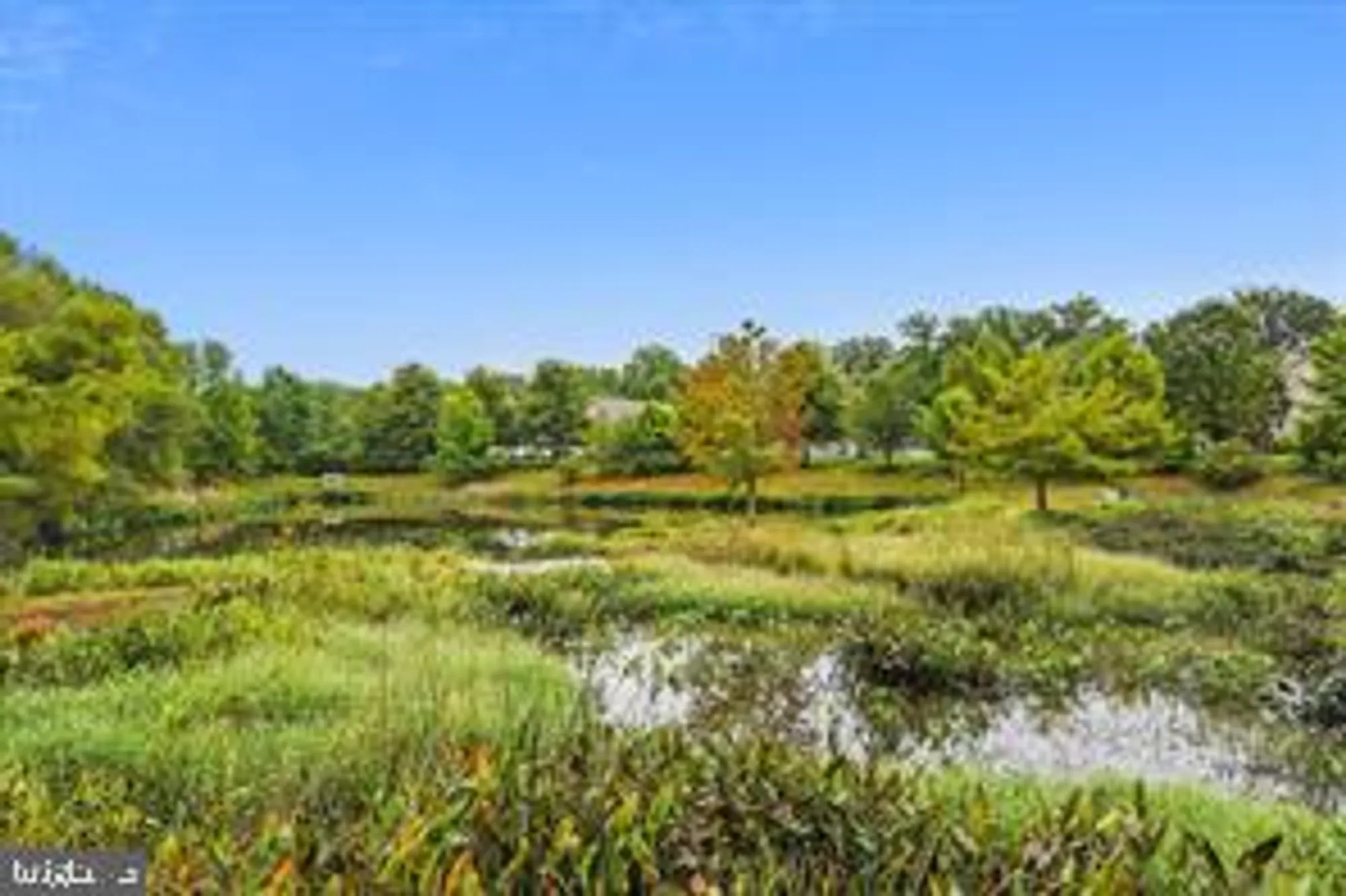 Property Slideshow image 44 of 45 | 714 harmony way # 714, Centreville, MD, 21617