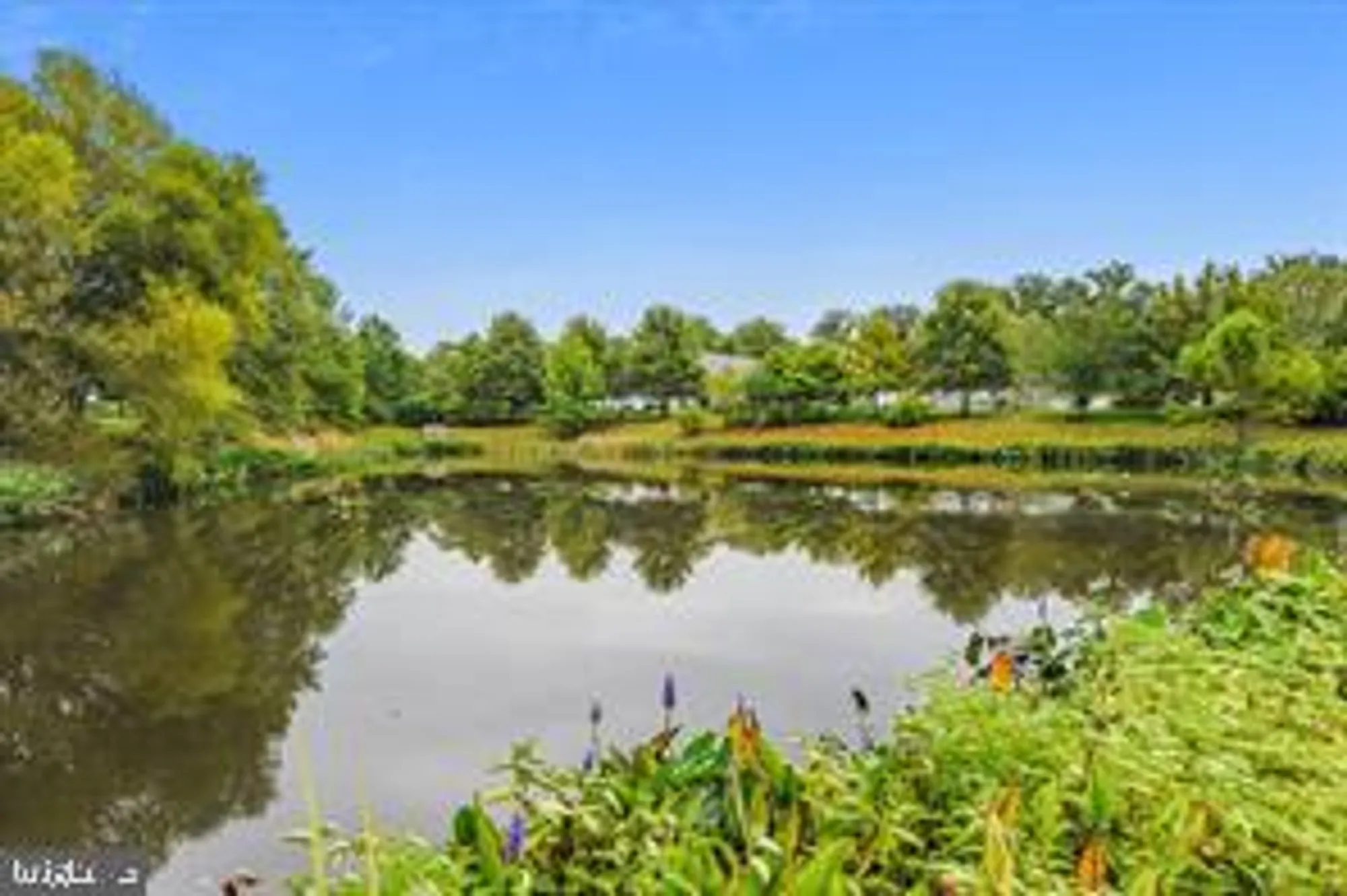 Property Slideshow image 45 of 45 | 714 harmony way # 714, Centreville, MD, 21617