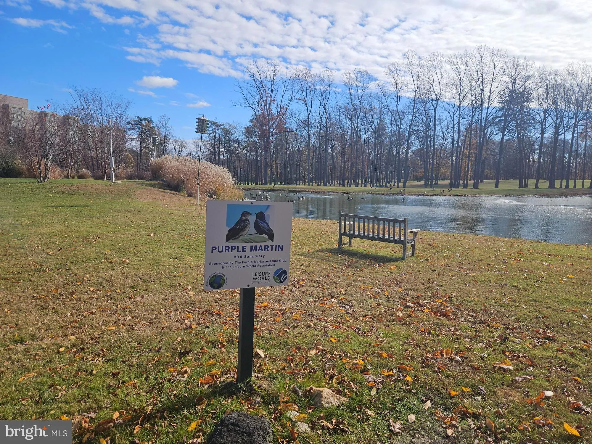 Property Slideshow image 23 of 35 | 15107 interlachen dr 2-815, Silver Spring, MD, 20906