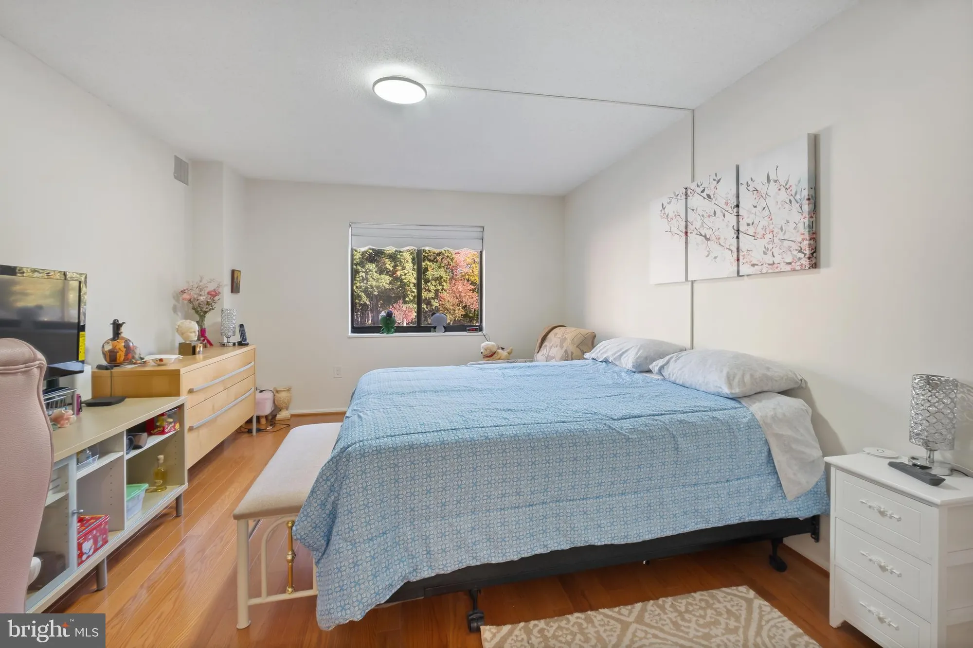 Property Slideshow image 19 of 26 | 15115 interlachen dr 3-107, Silver Spring, MD, 20906