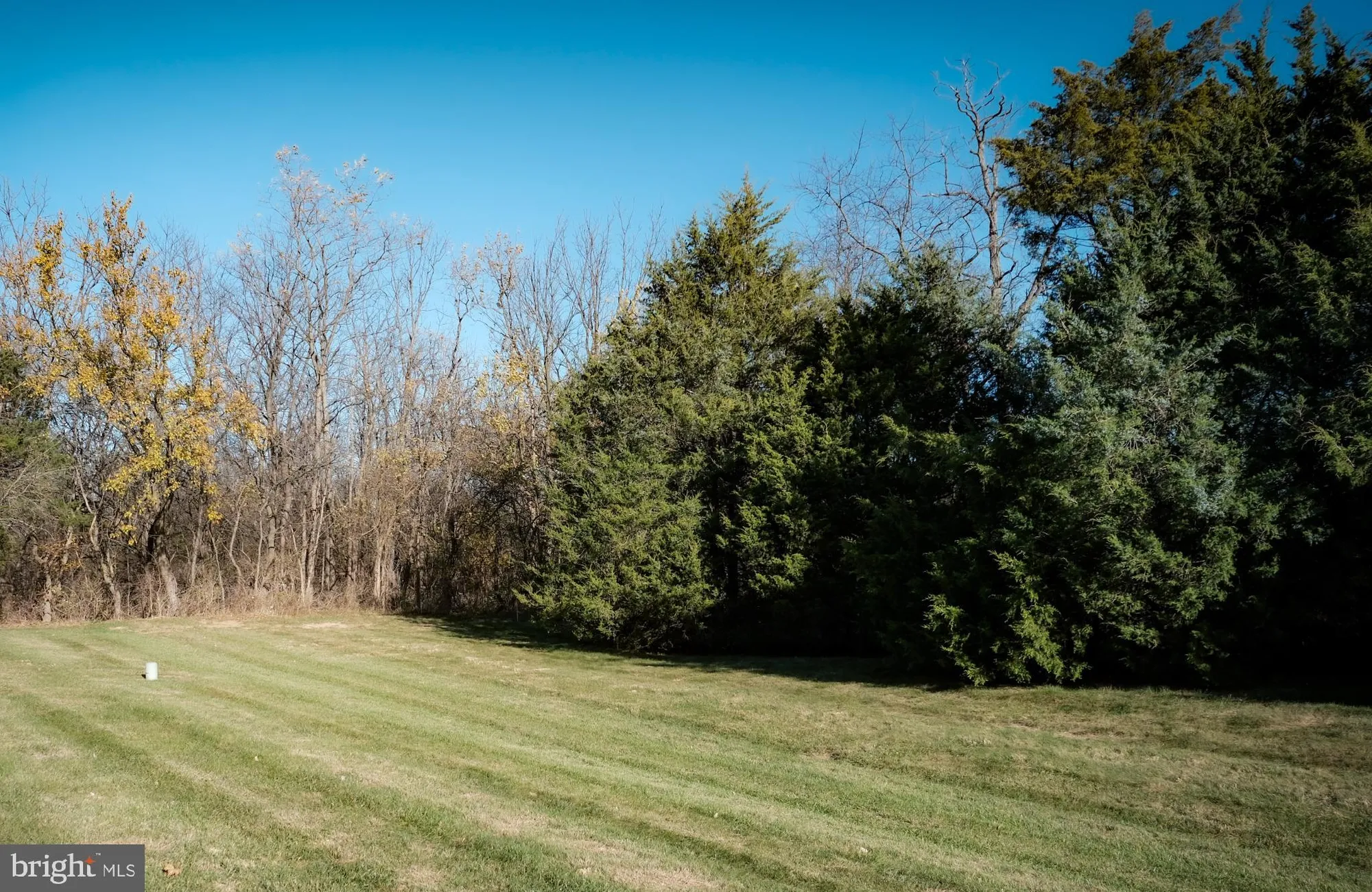 Property Slideshow image 9 of 32 | 105 tanglewood ln, Winchester, VA, 22602